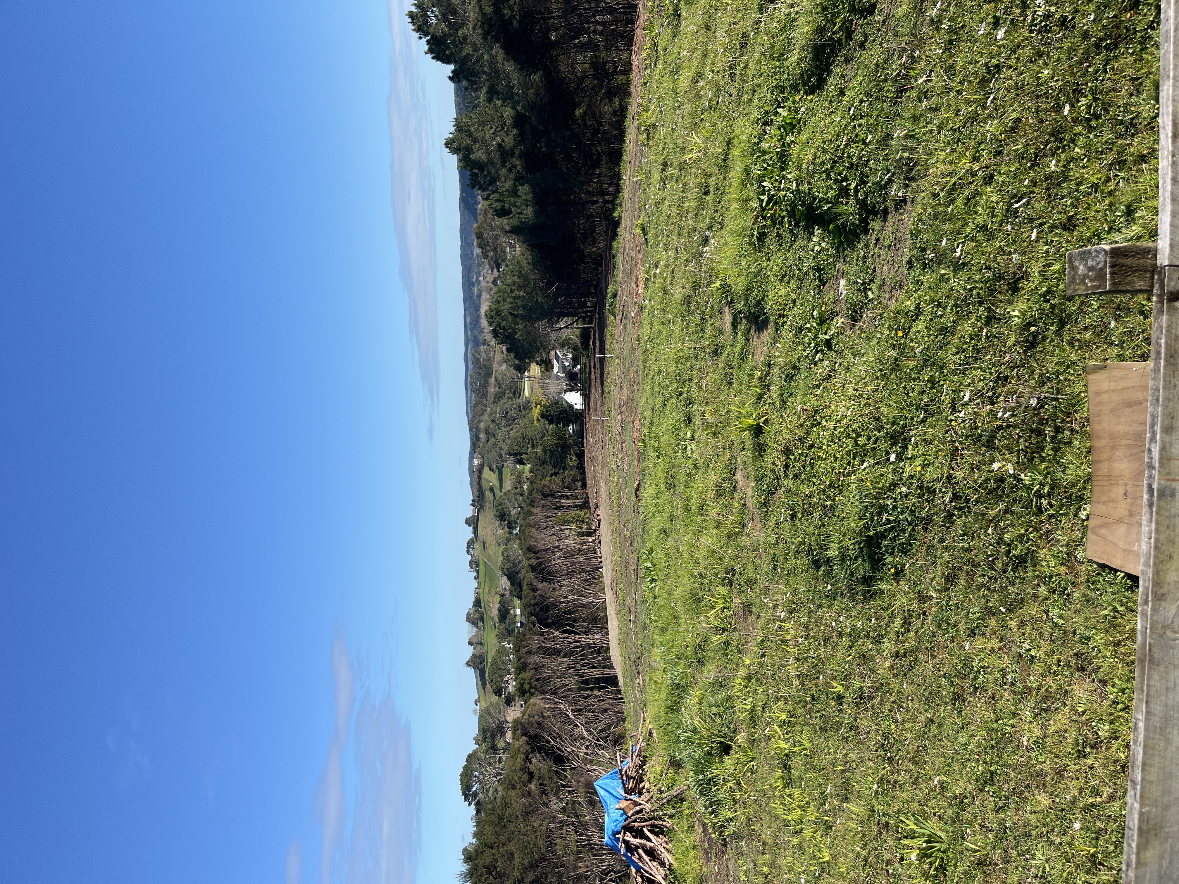 image-17