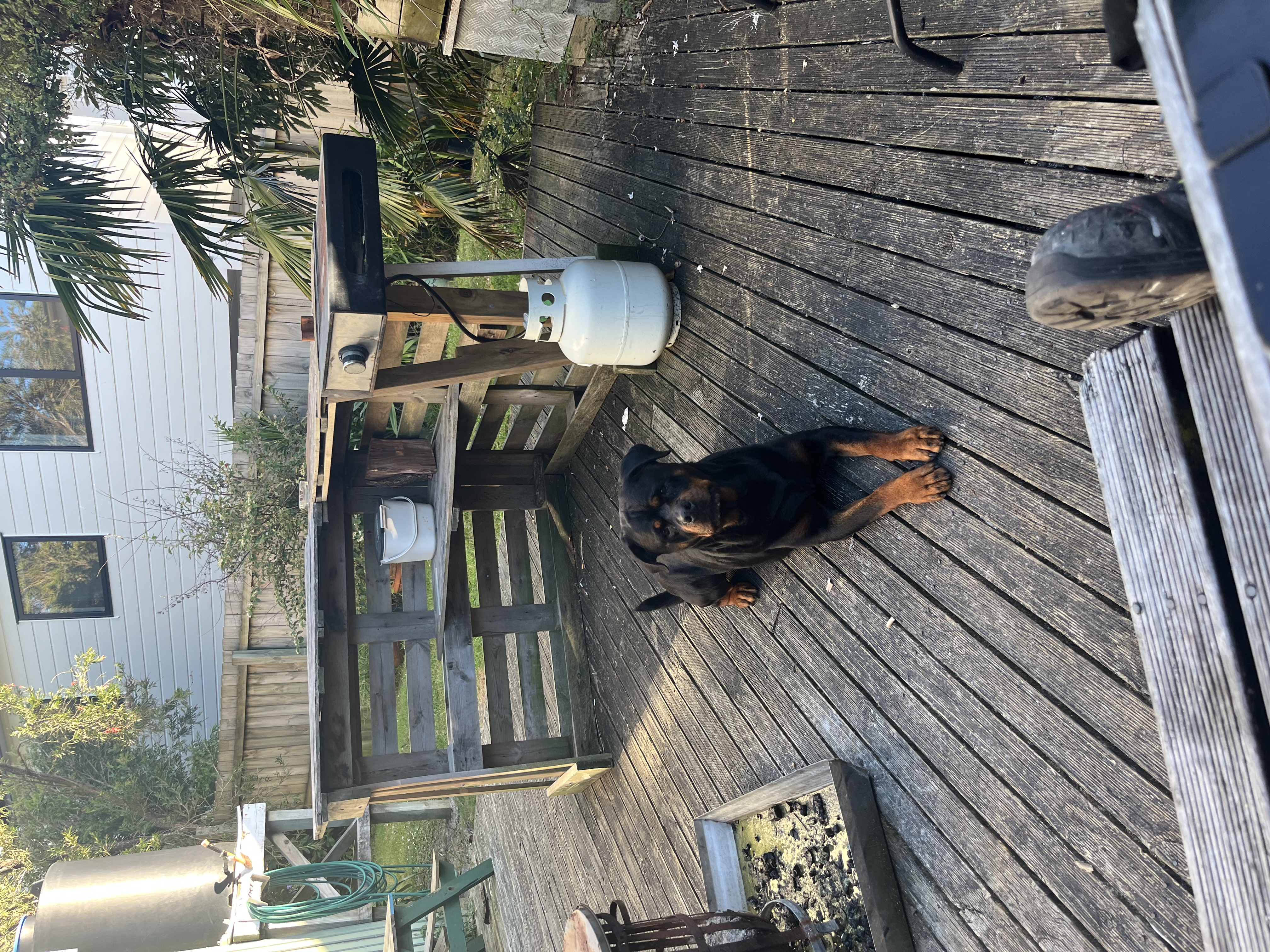image-7