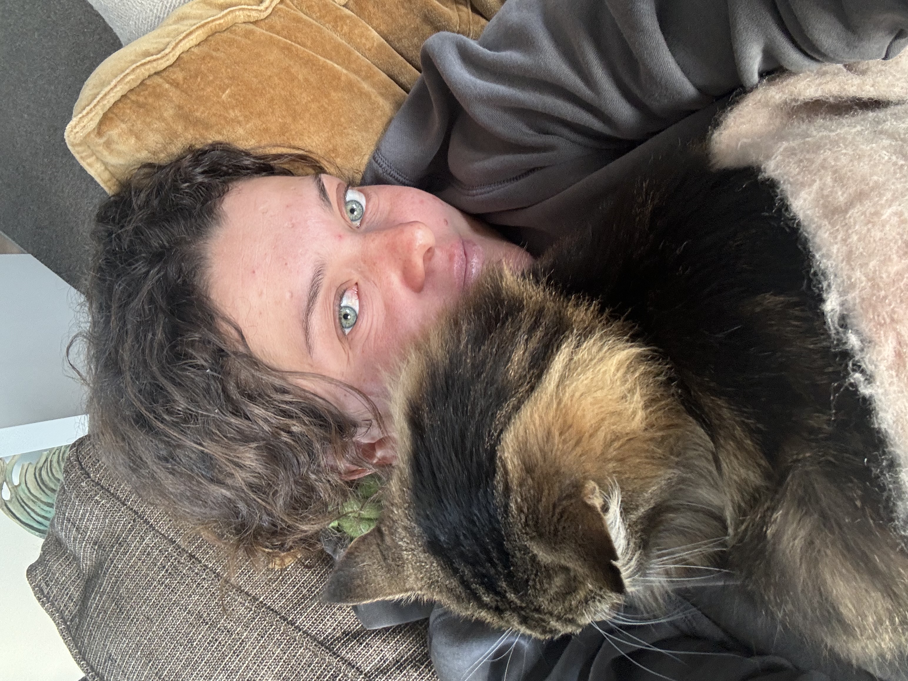 image-8
