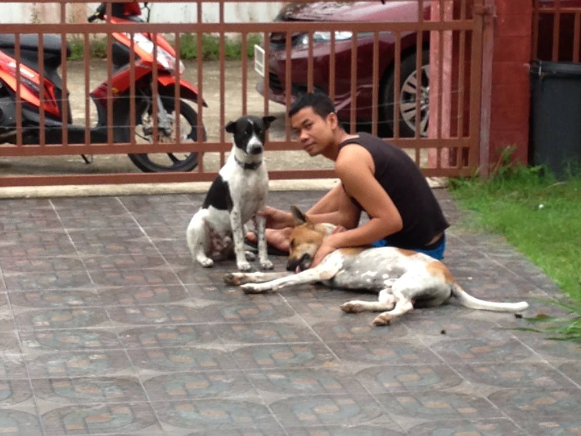 image-5