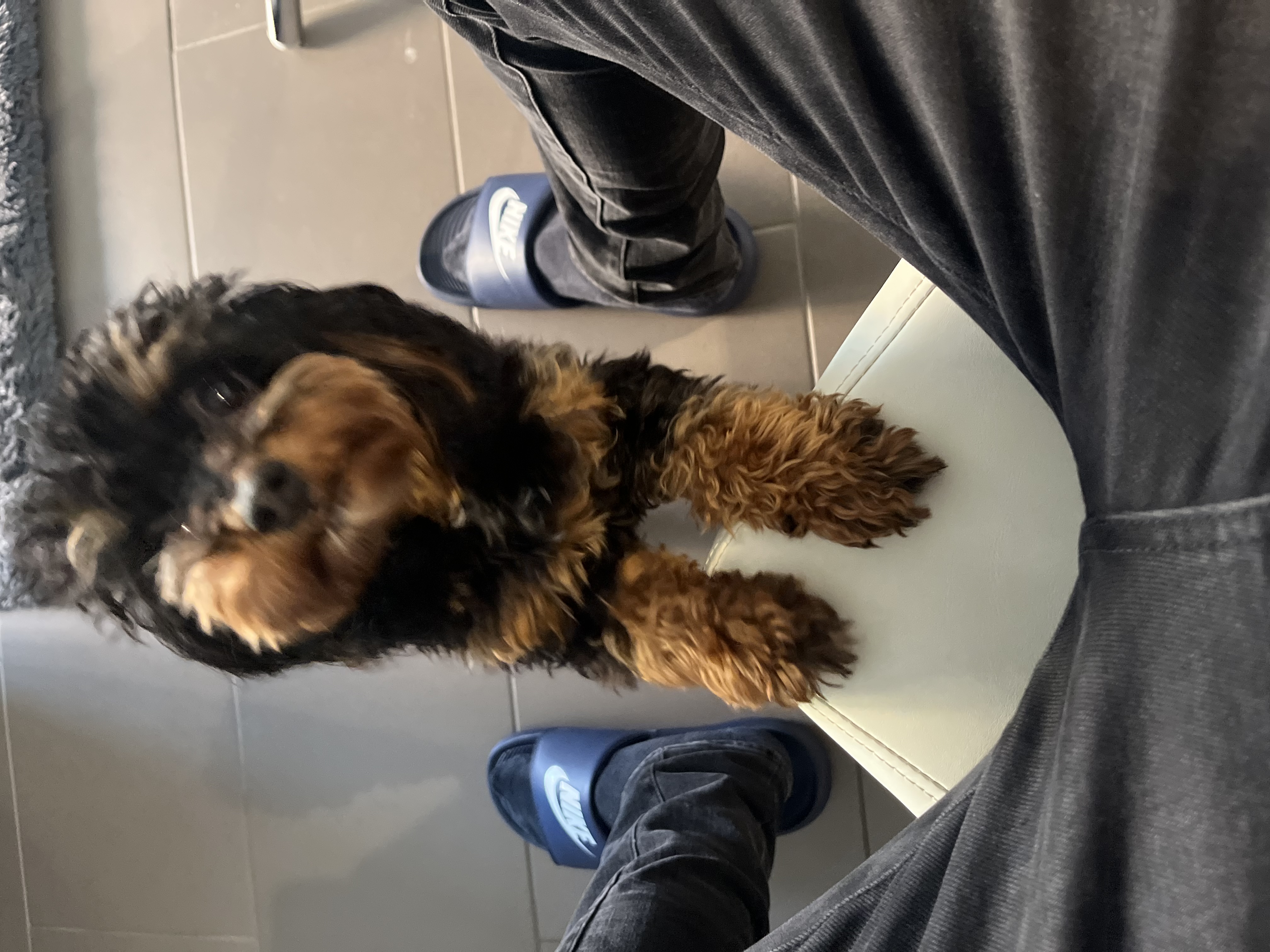 image-9