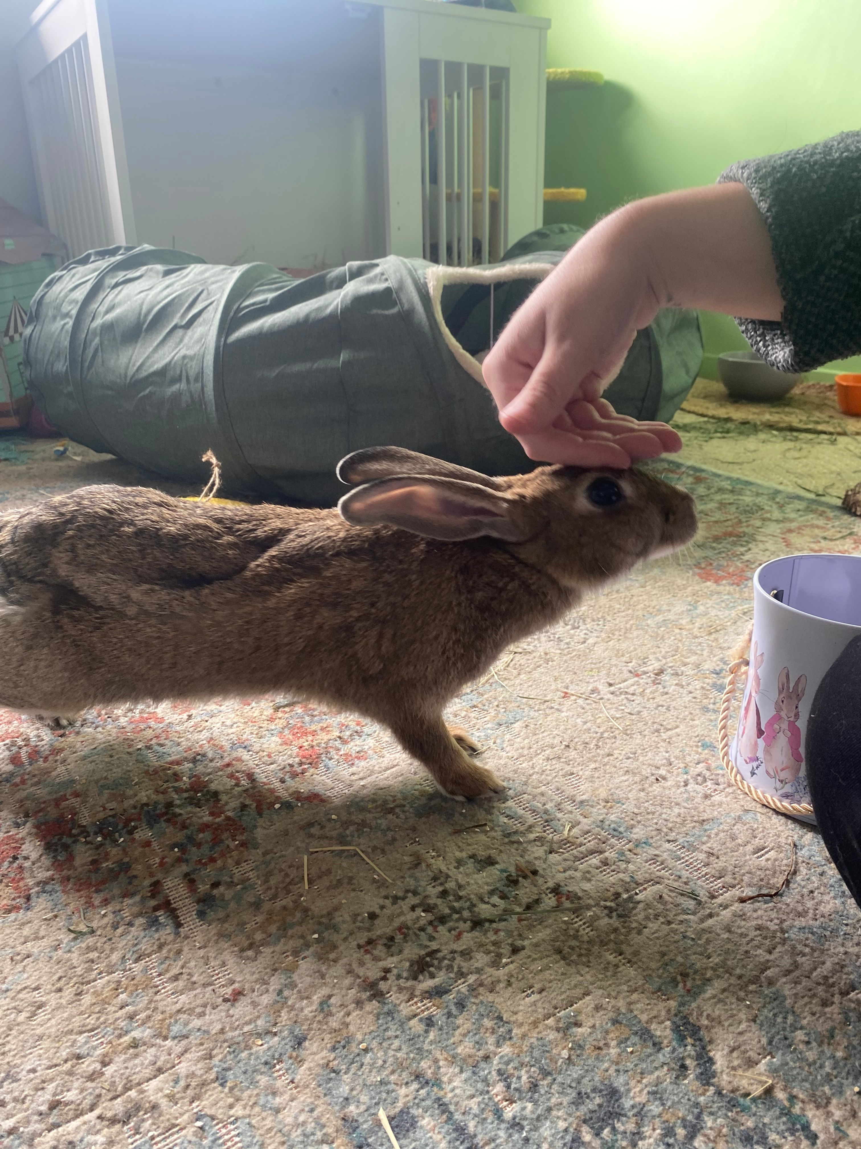 image-10