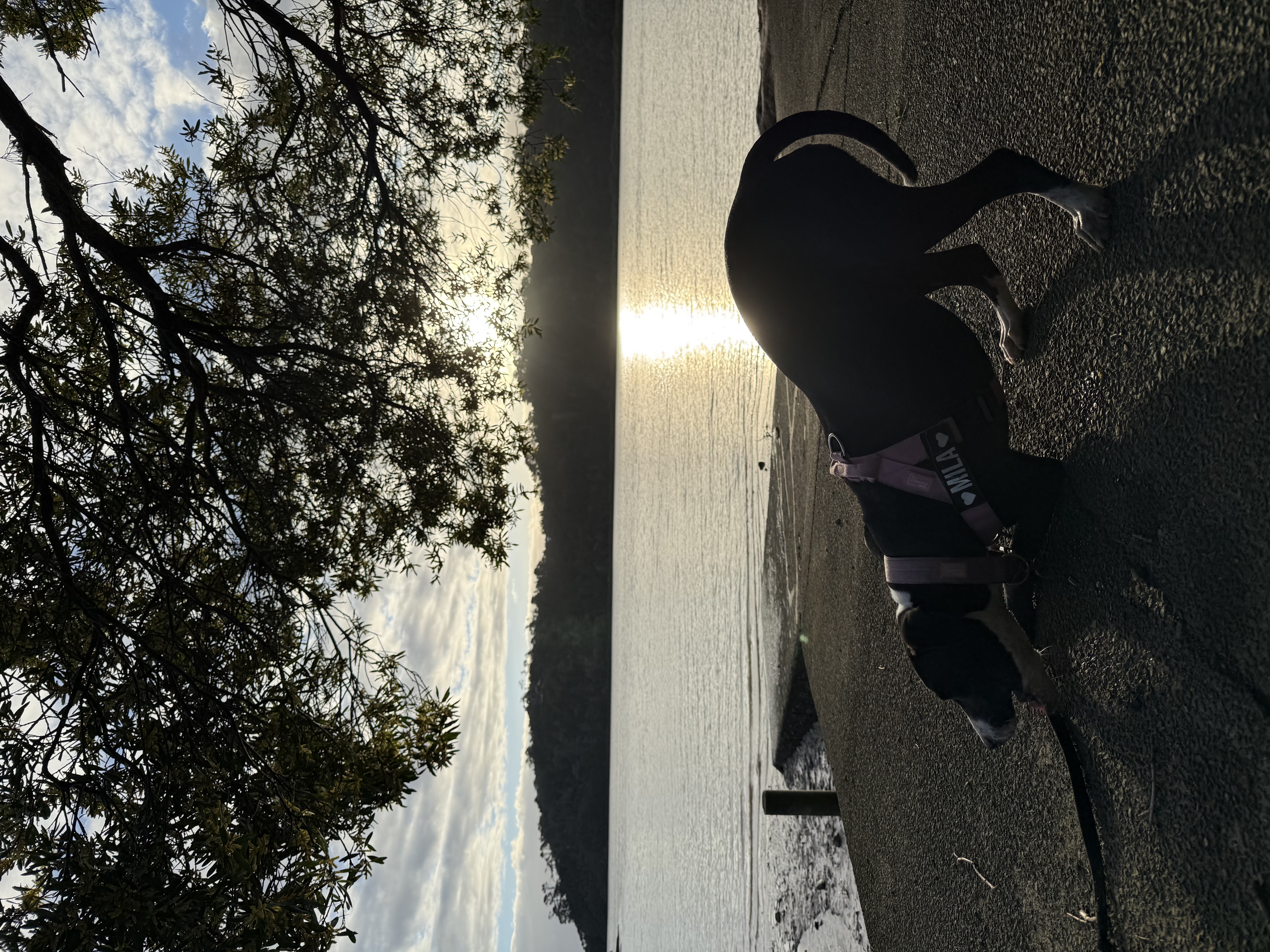 image-16
