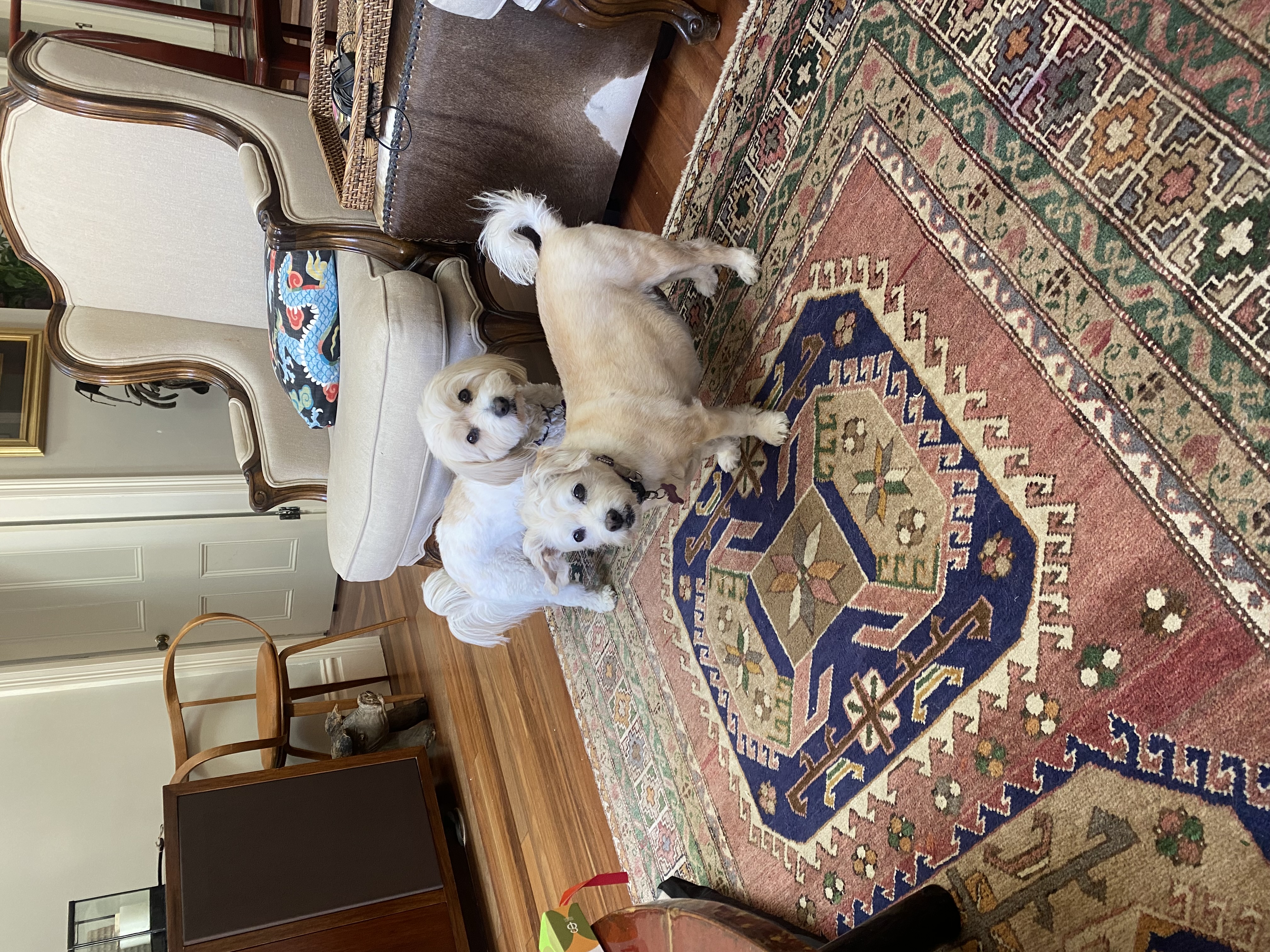 image-7
