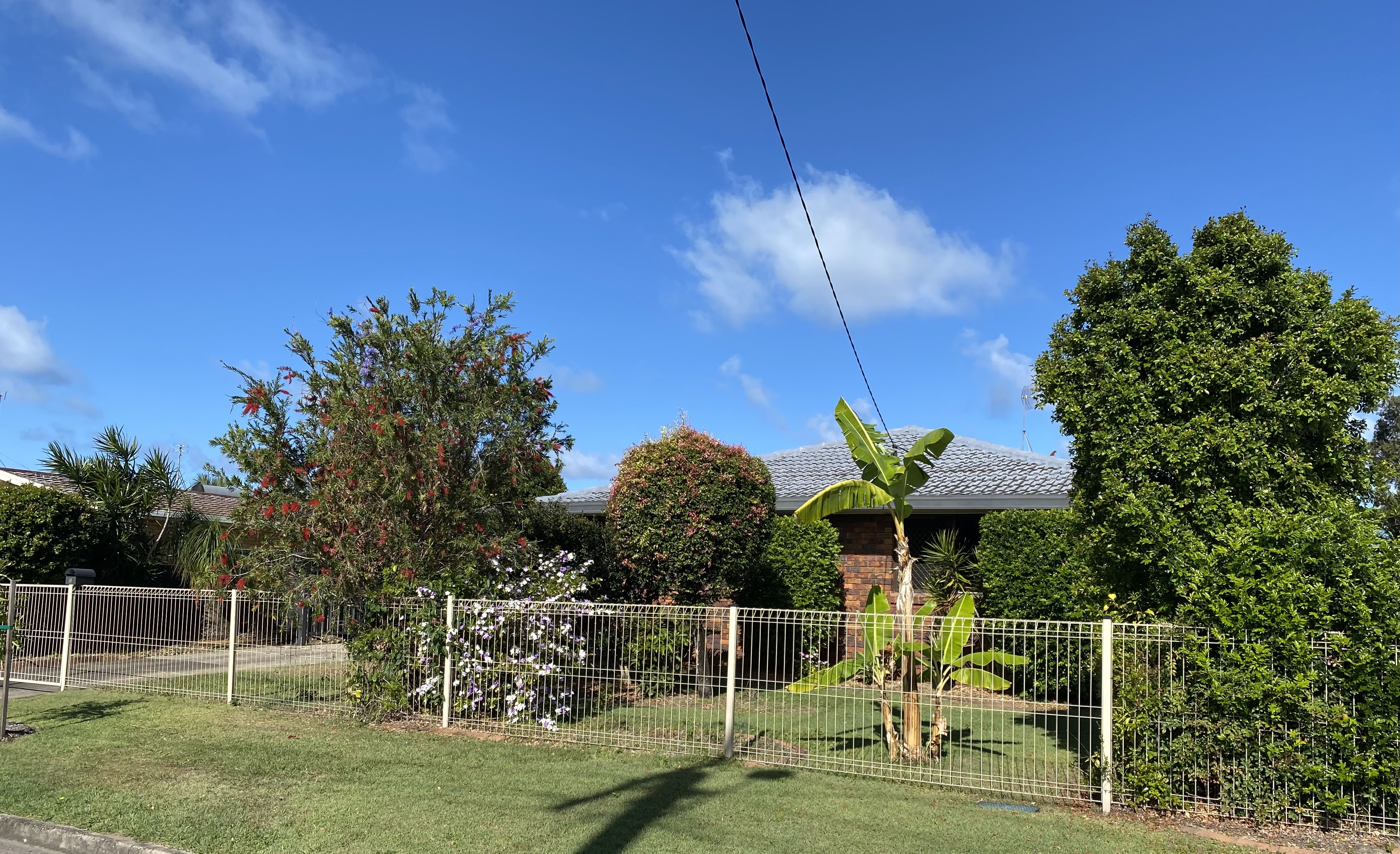 image-18