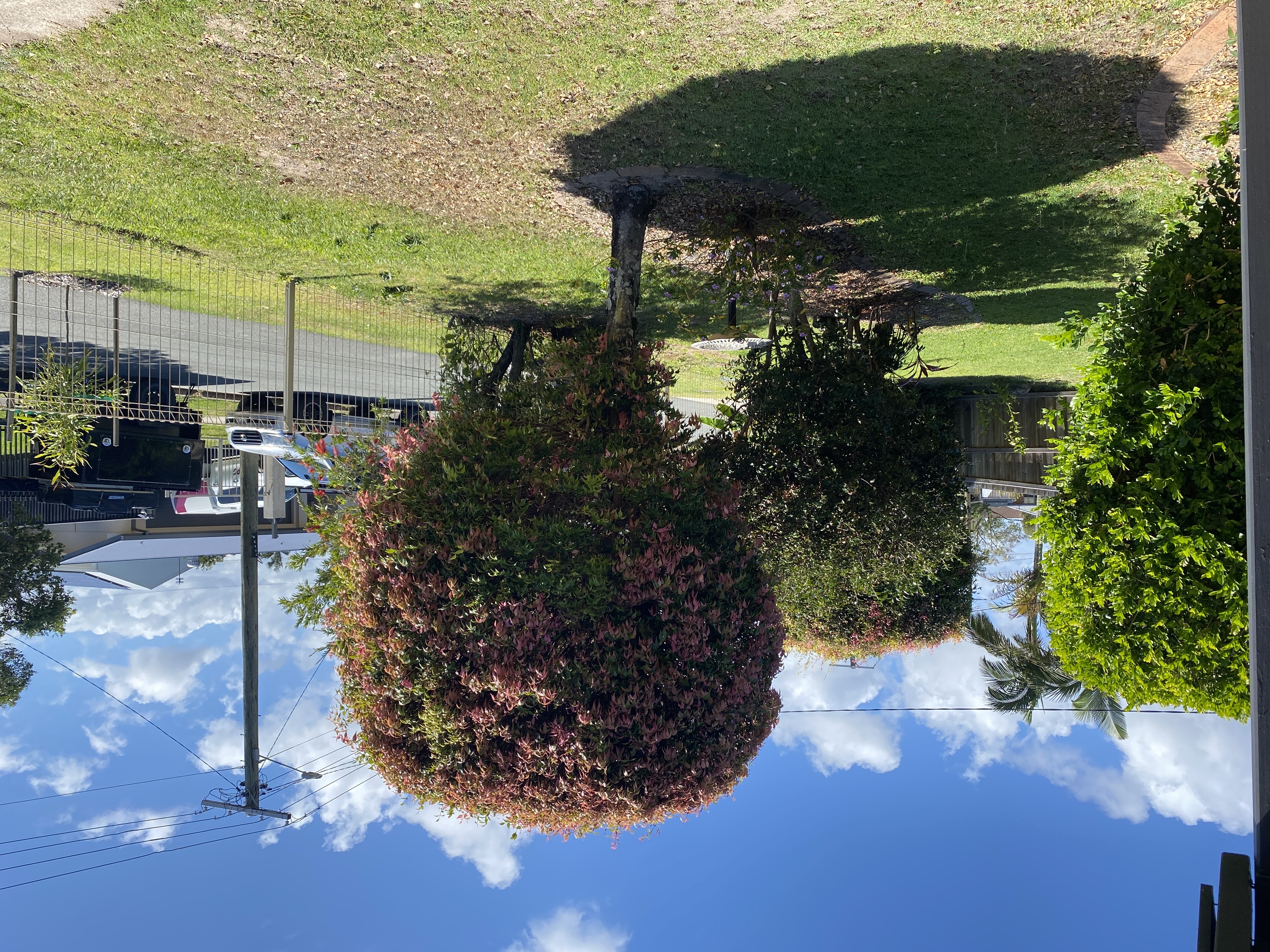 image-19