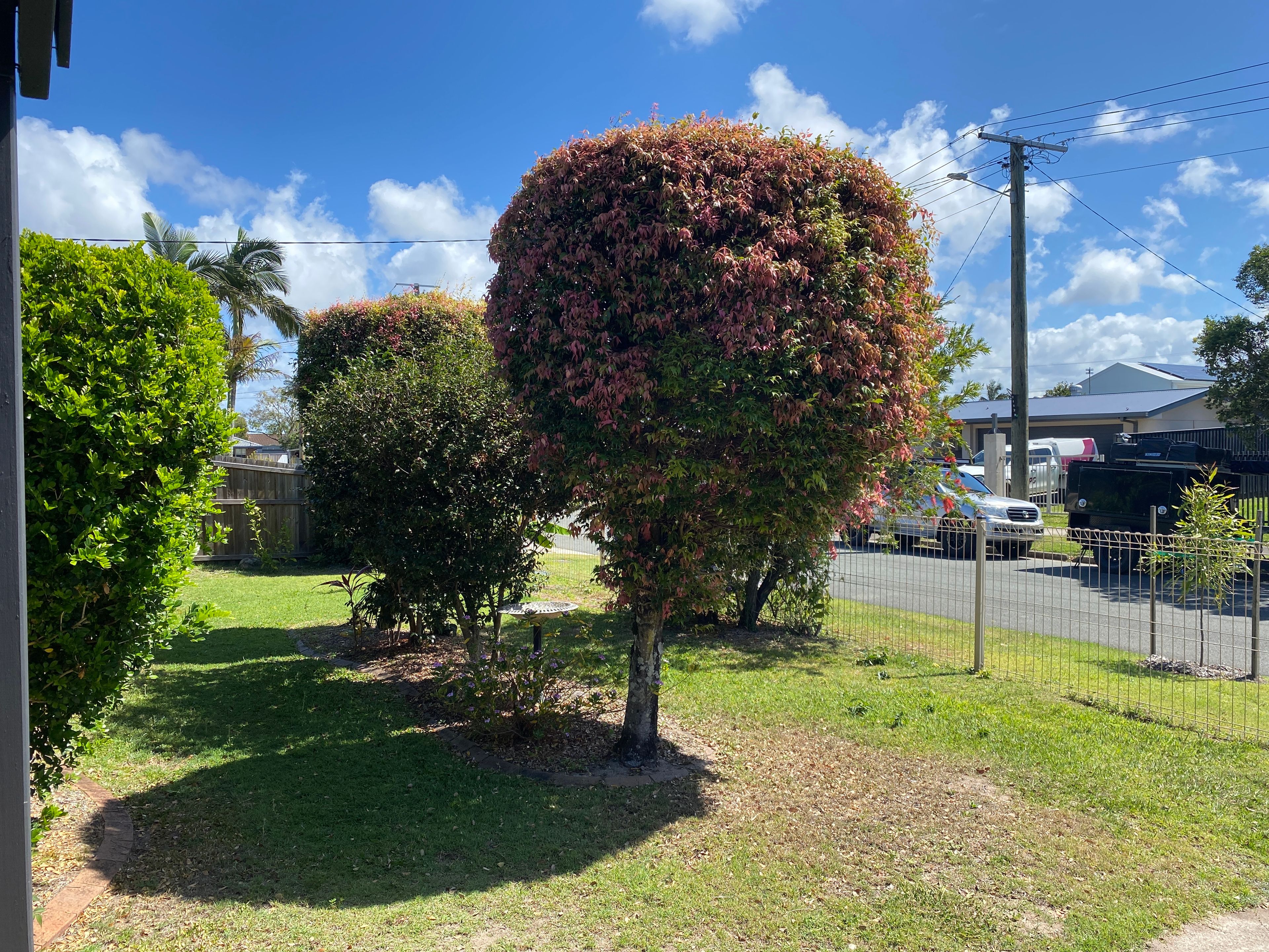 image-19