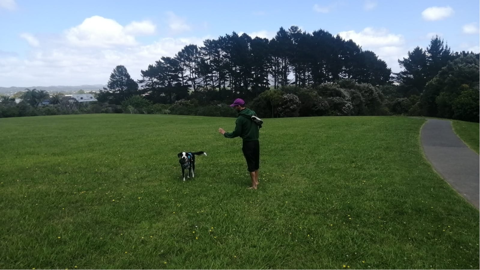 image-3
