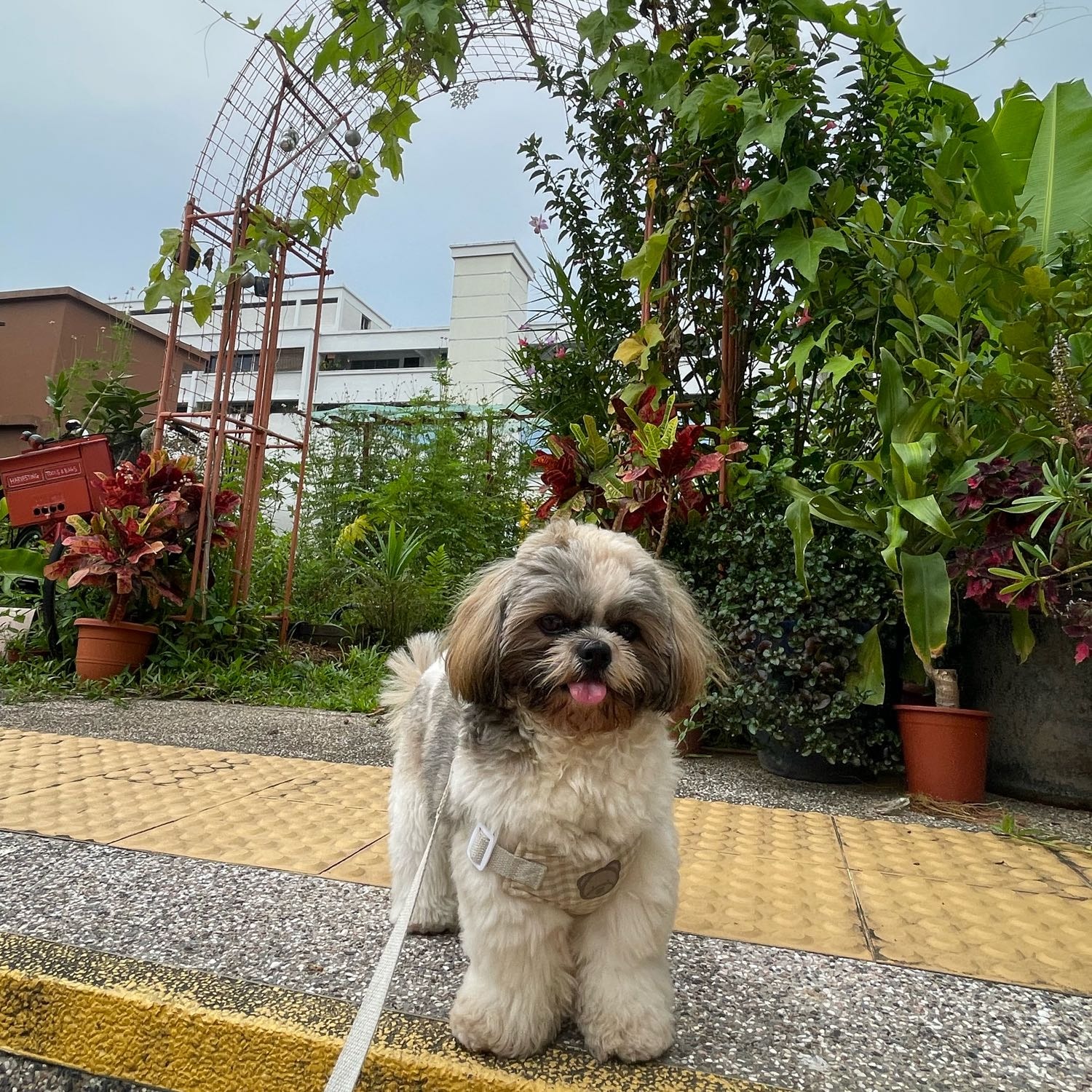 Coby 