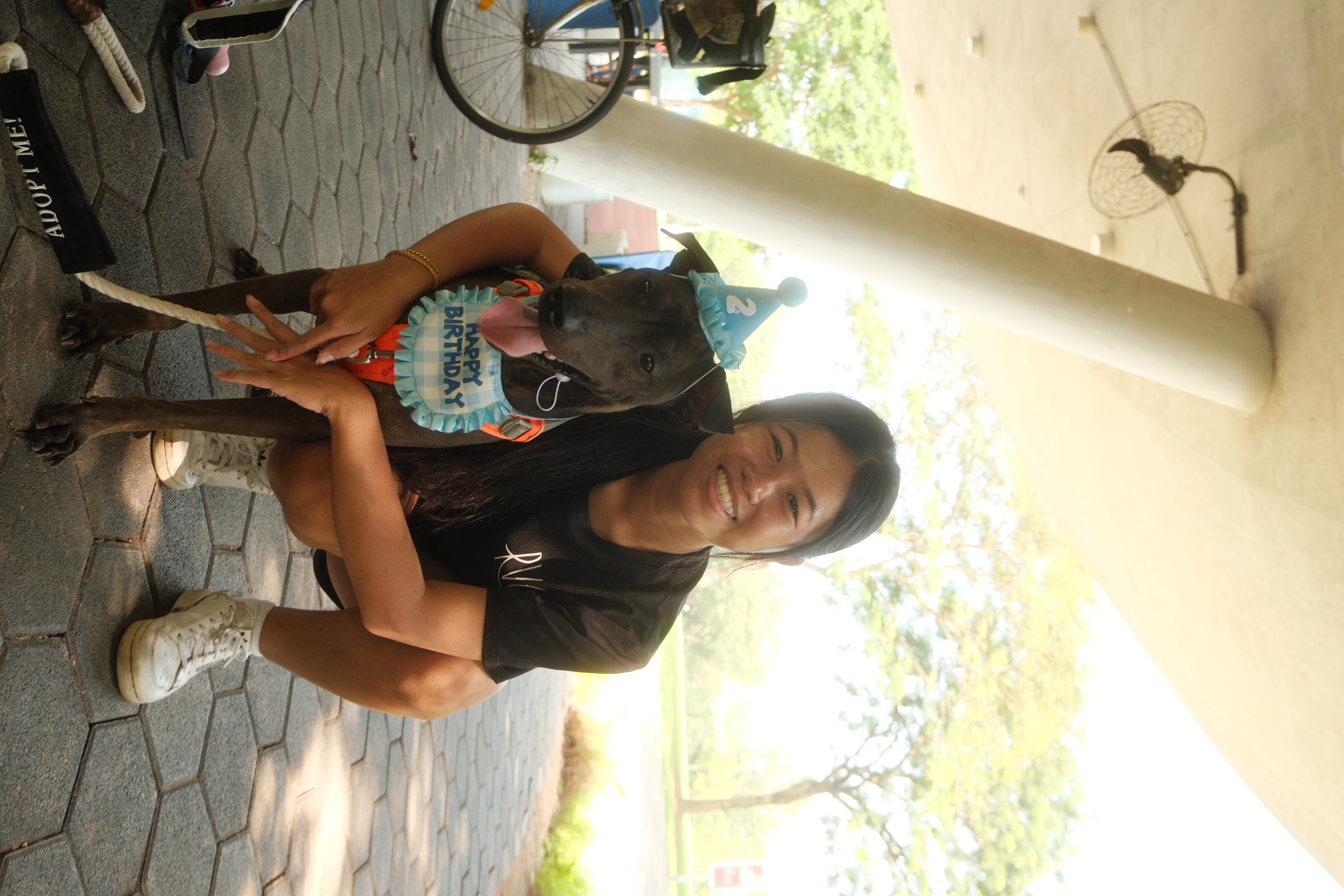 image-5