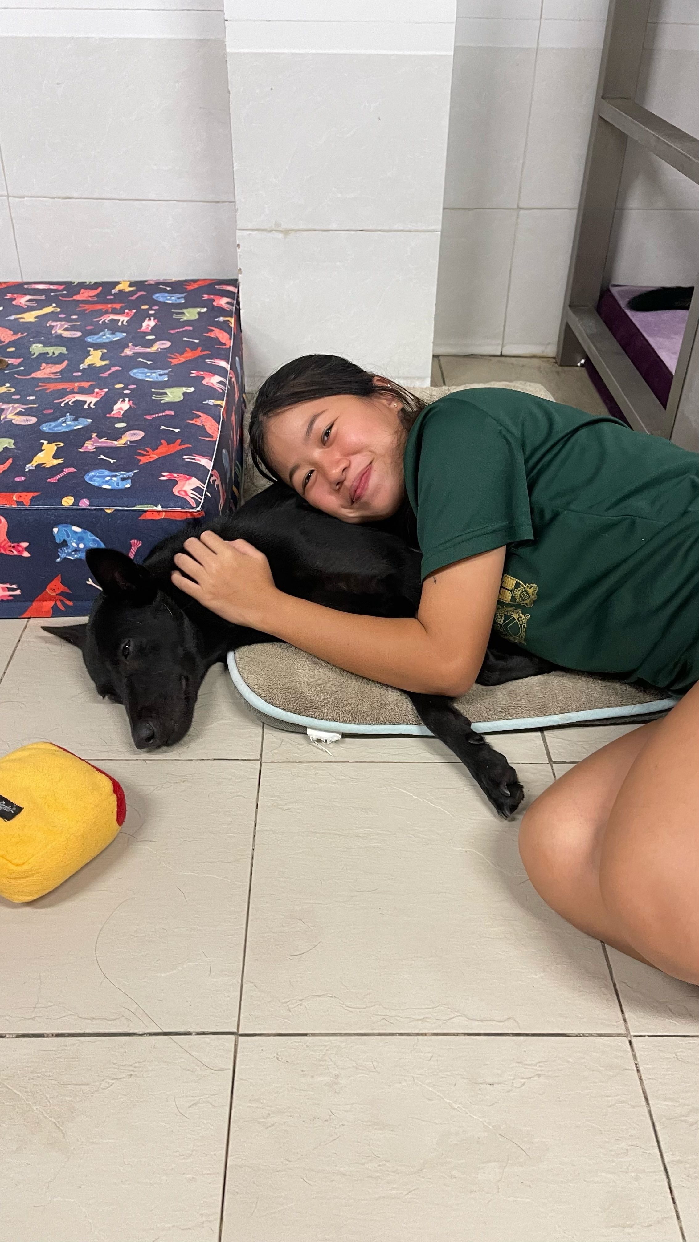 image-13
