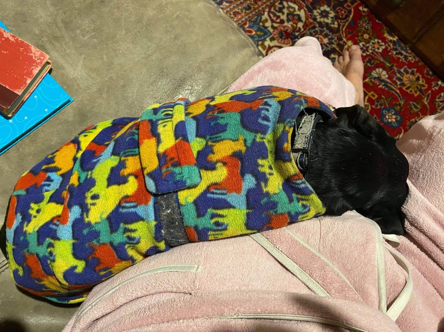 image-7