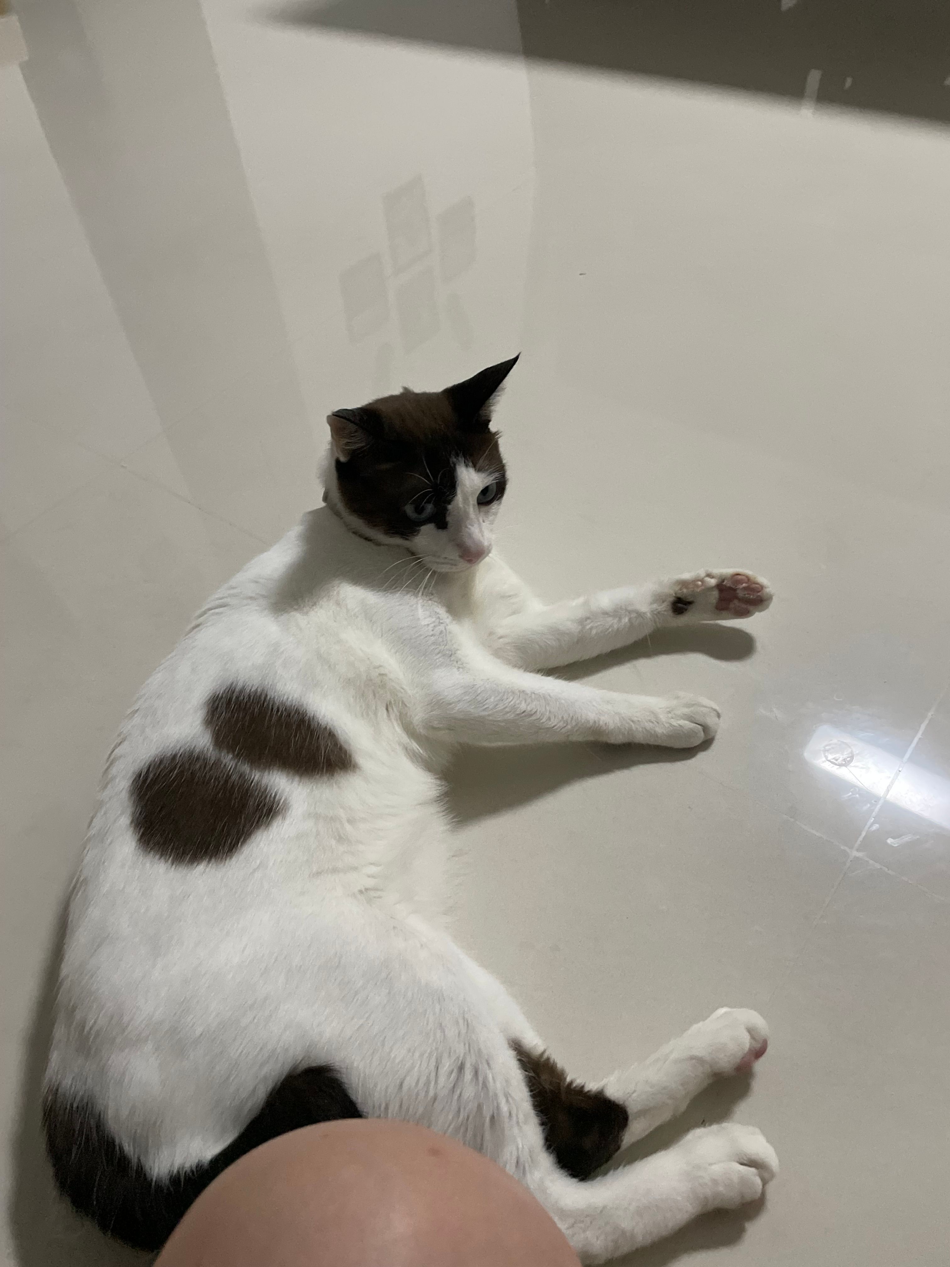 image-11