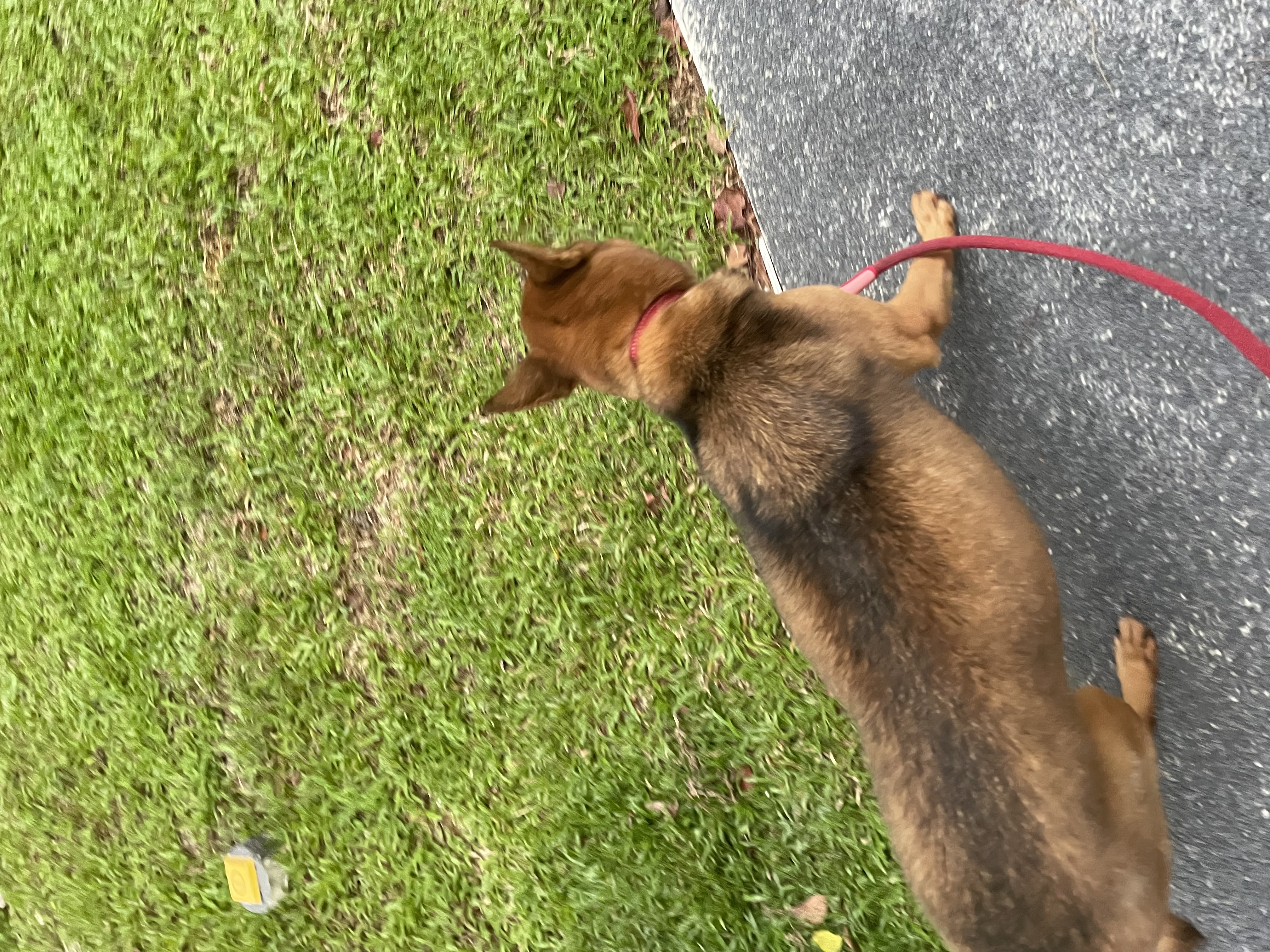 image-12