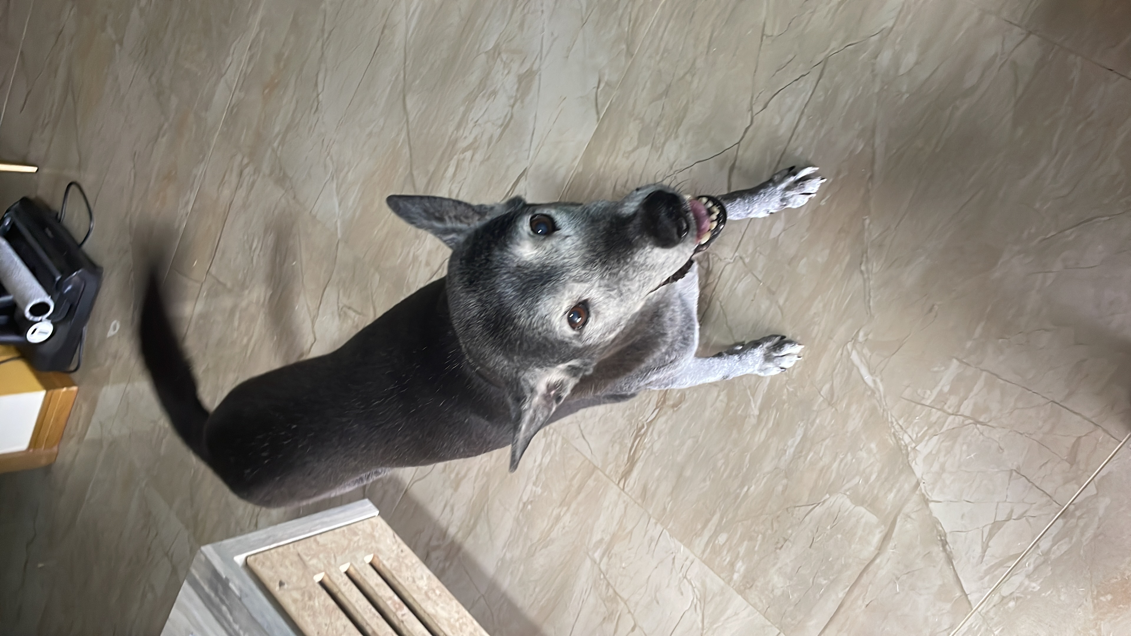 image-9