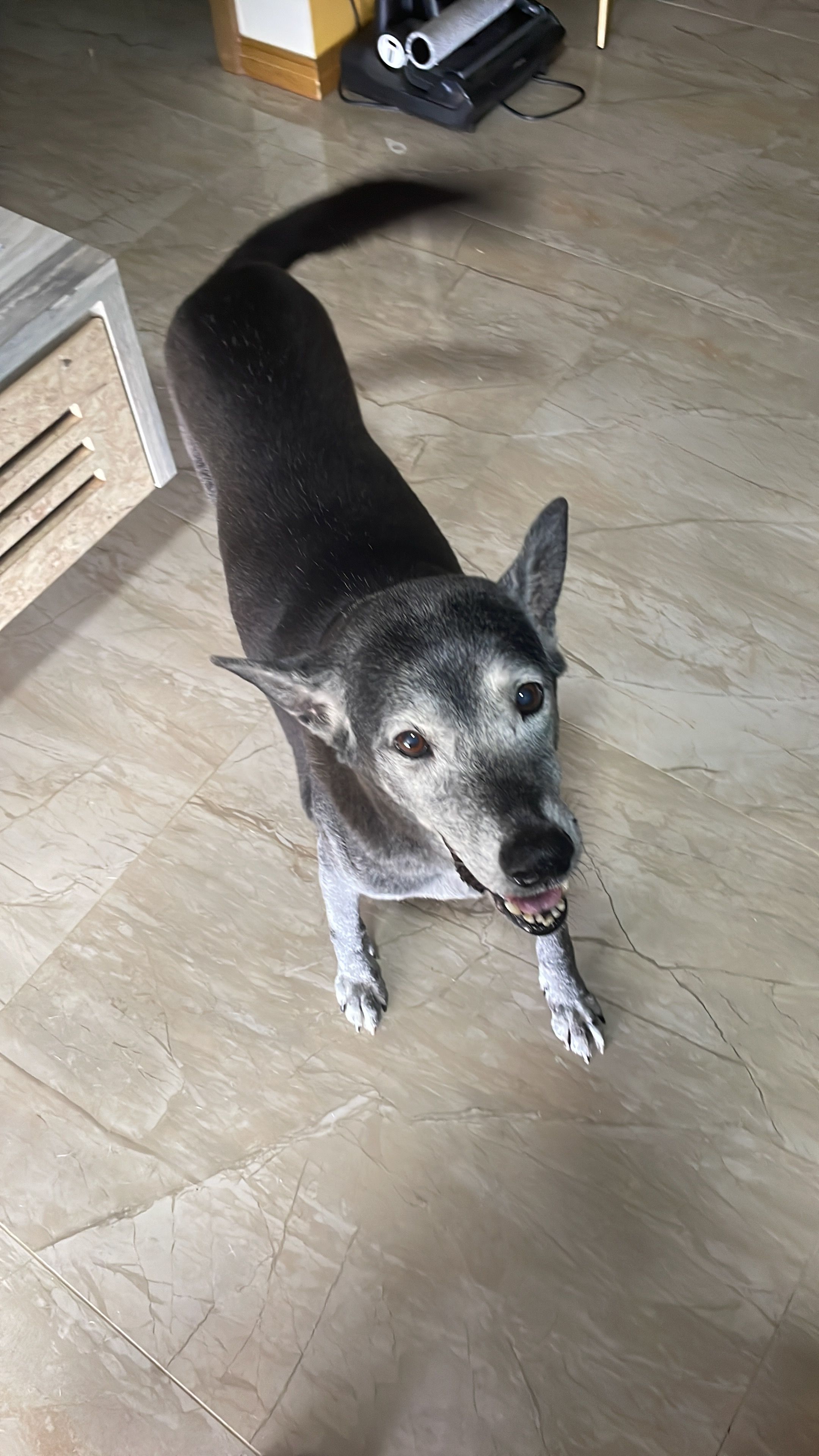 image-9