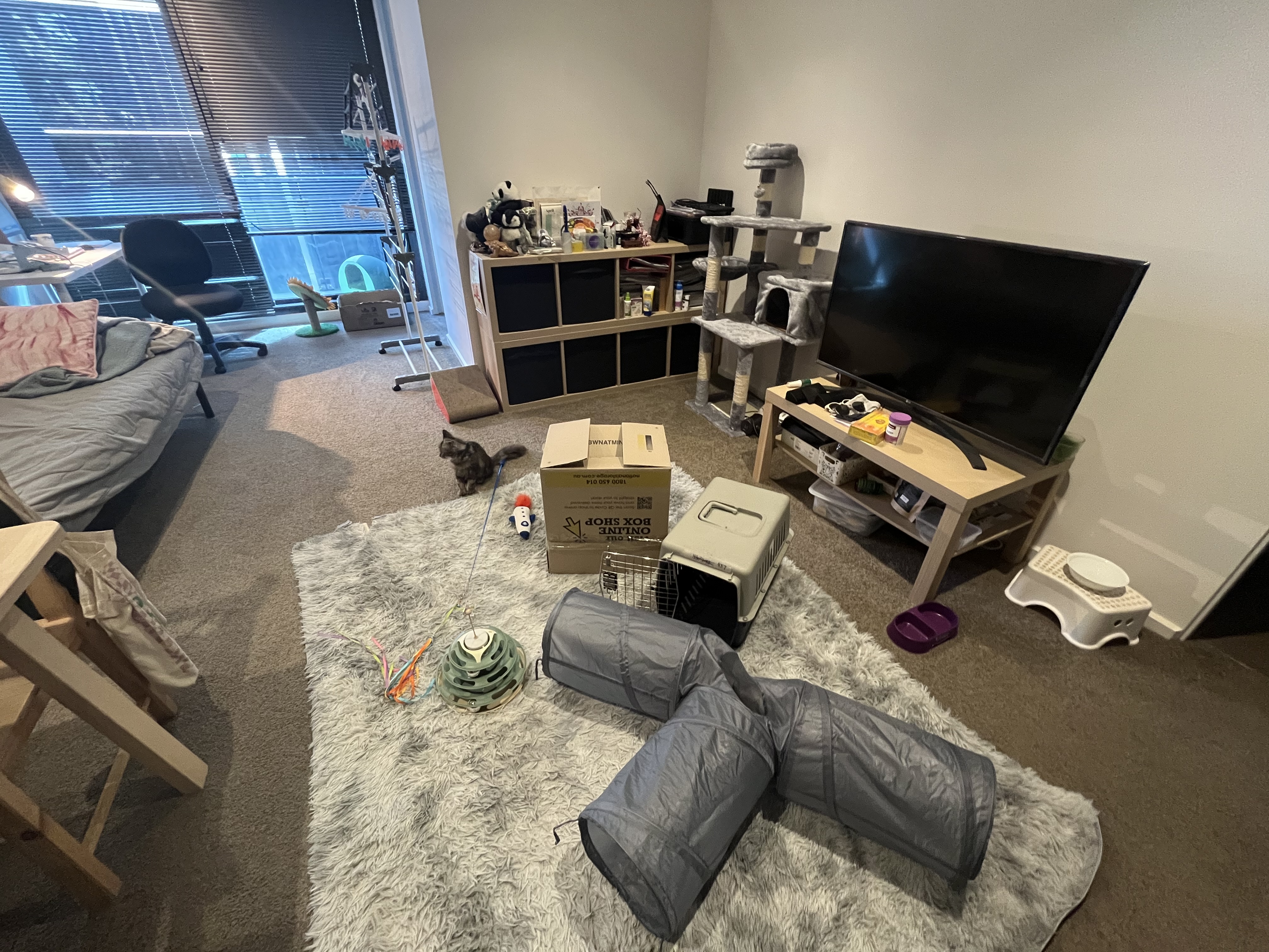 image-11