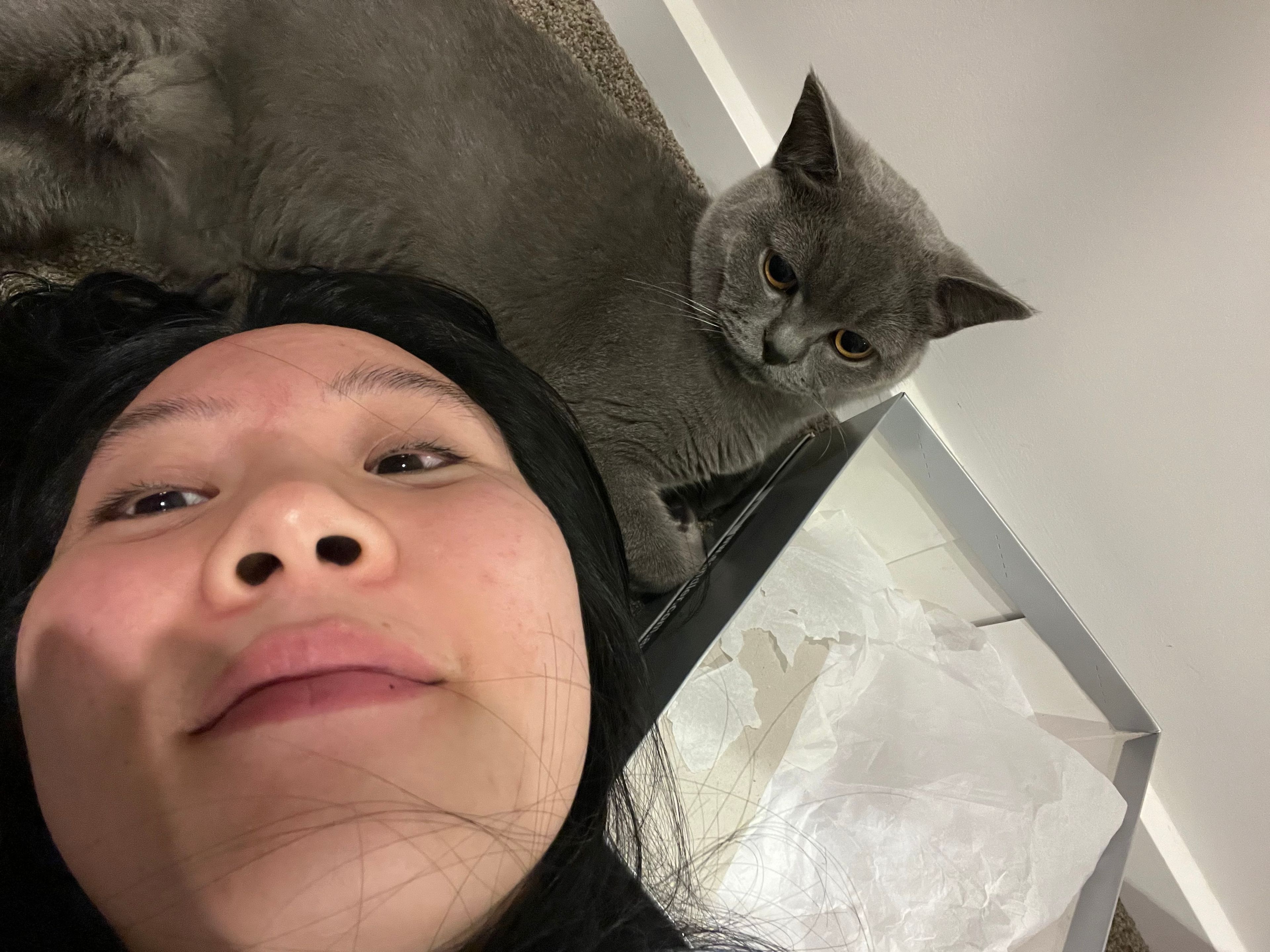 image-8