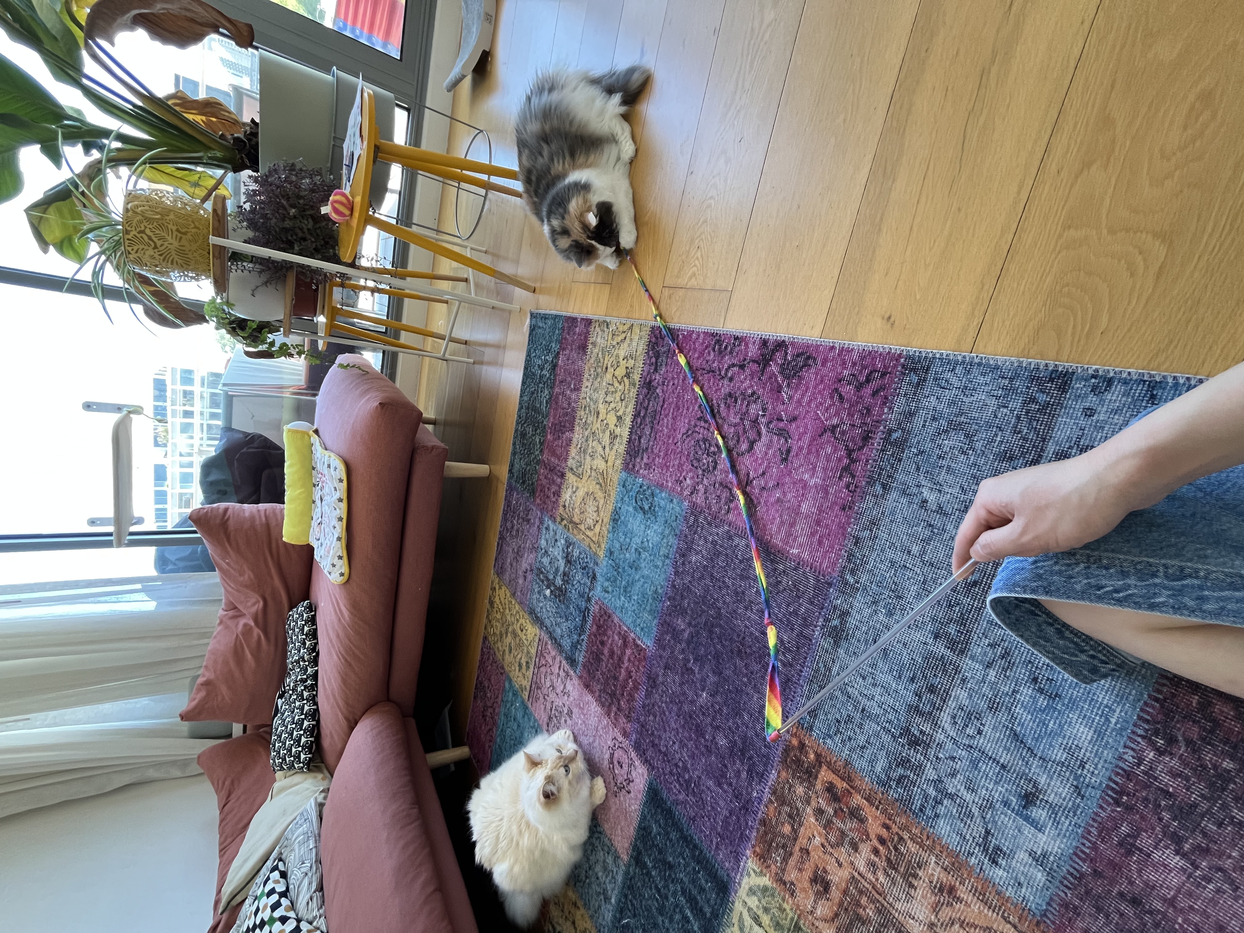 image-7