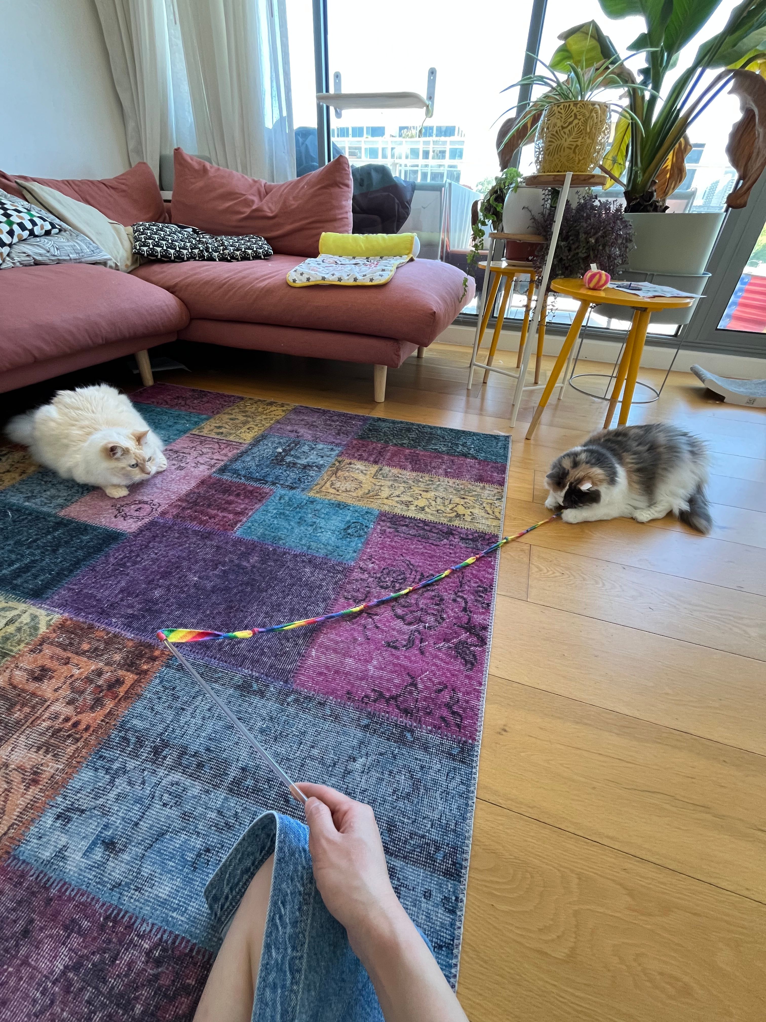 image-7