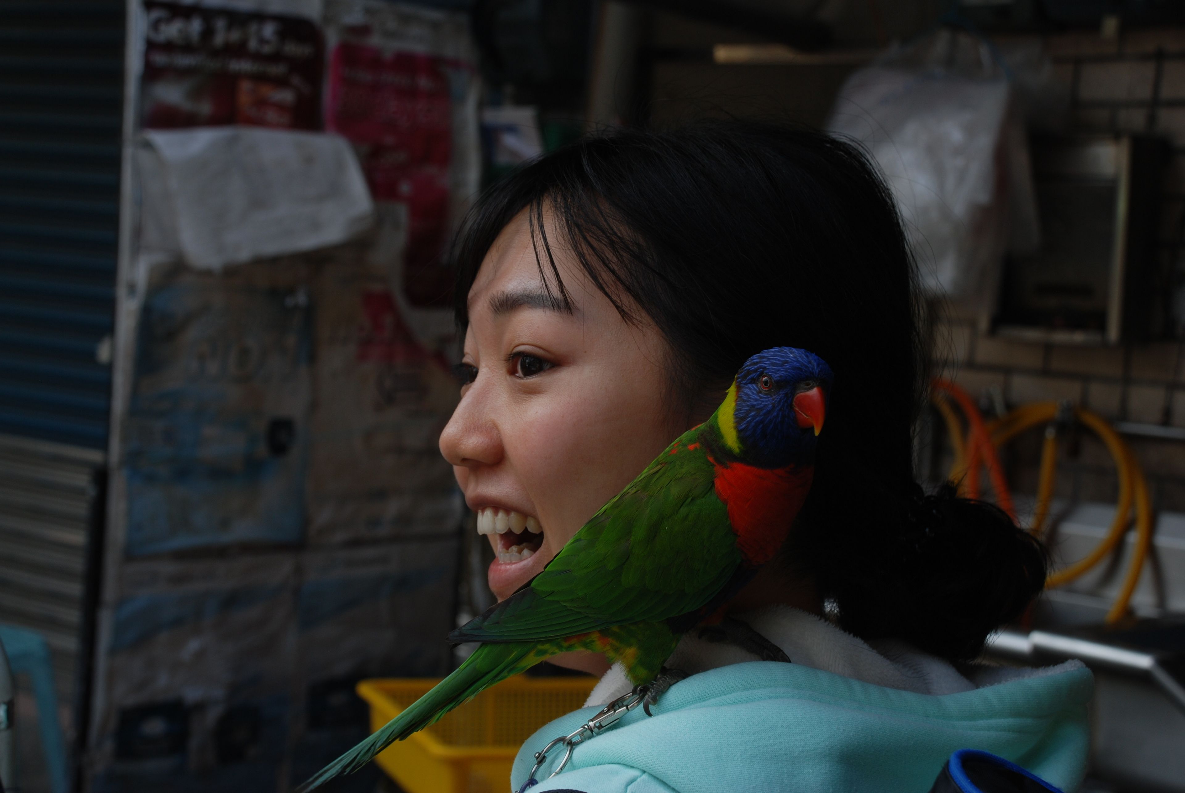 image-5