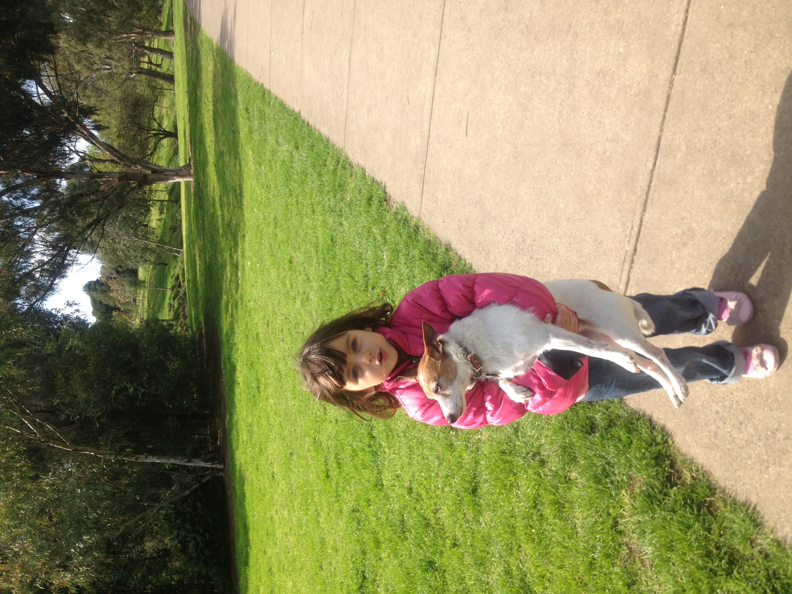 image-5