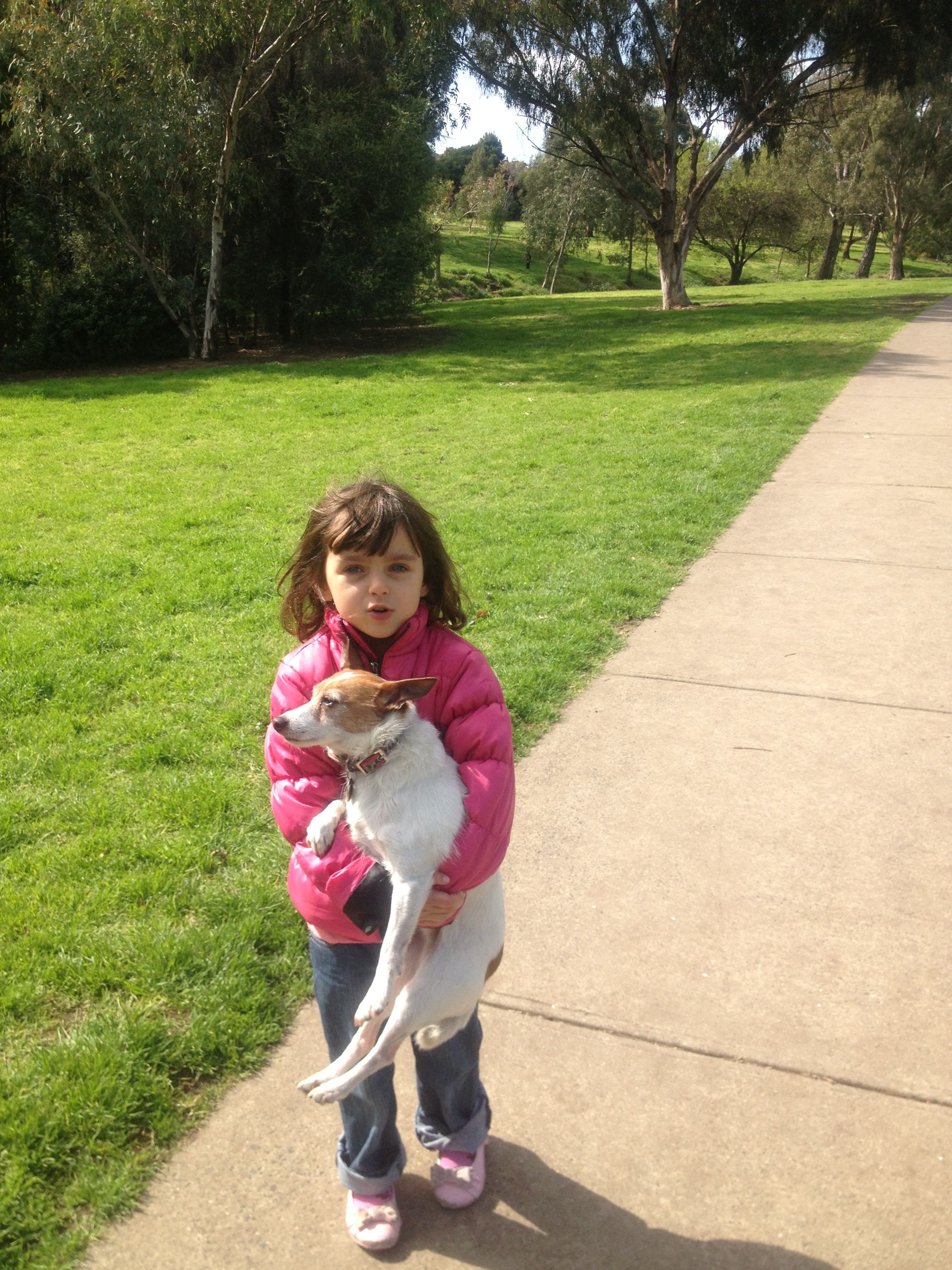 image-5