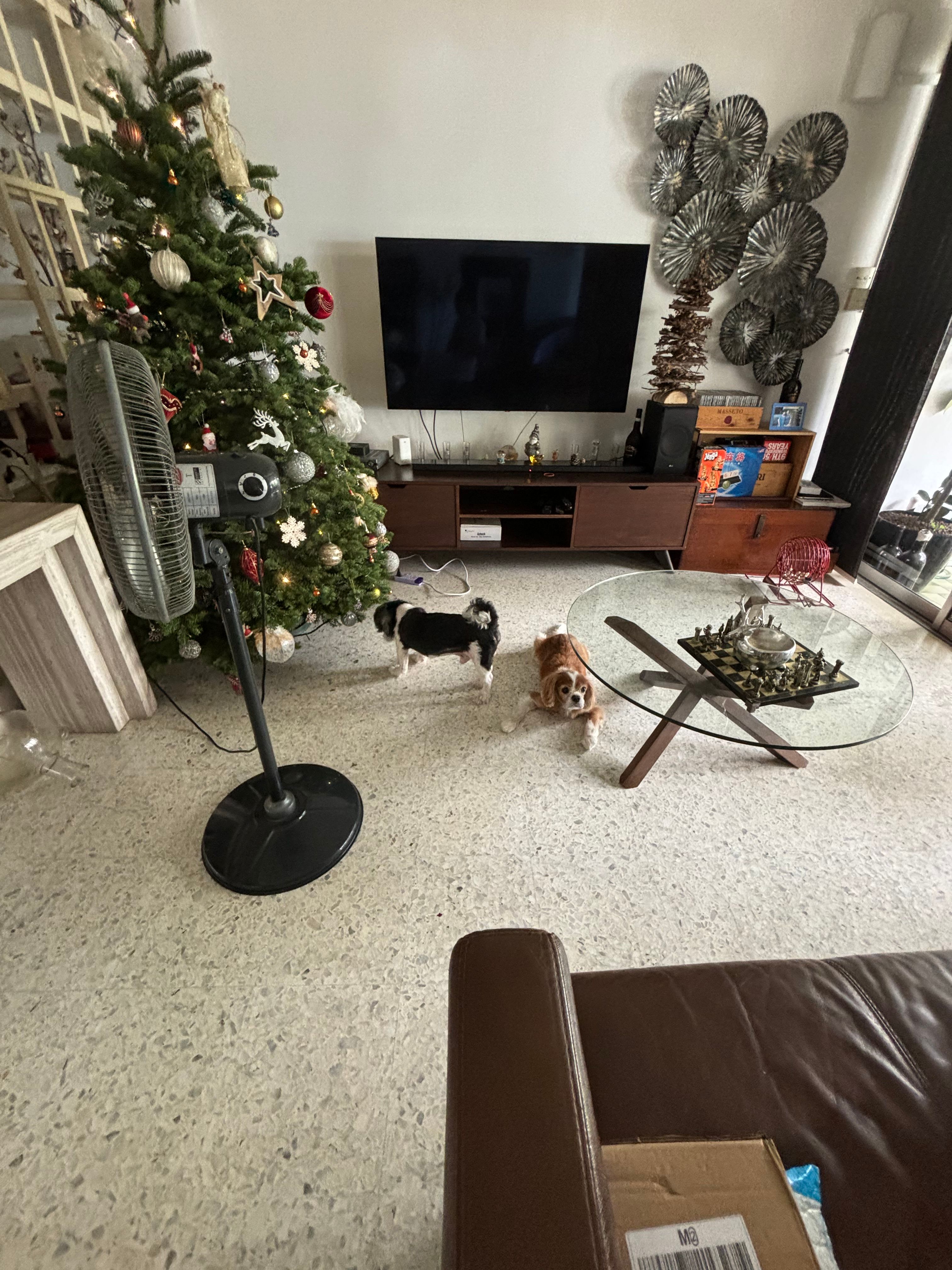 image-12