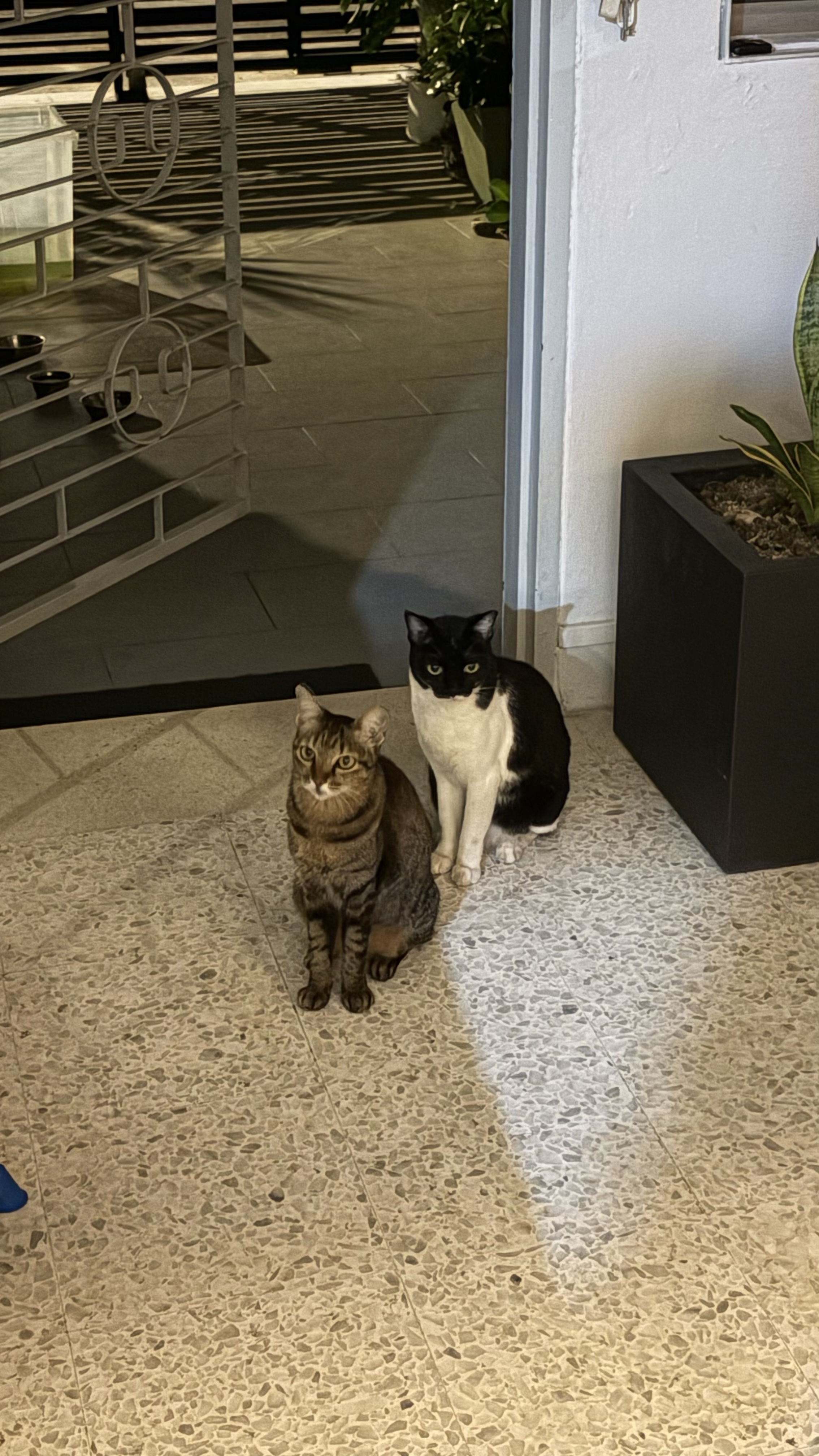 image-5