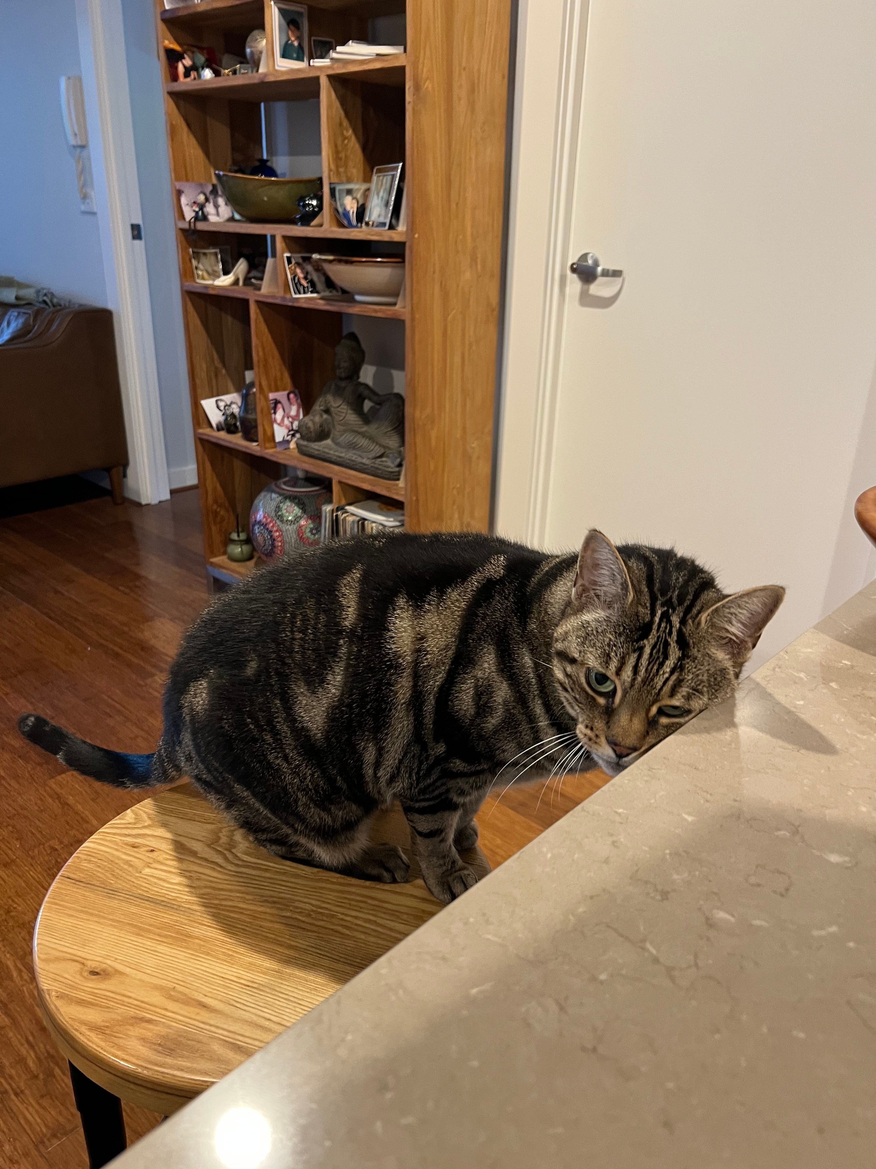 image-11