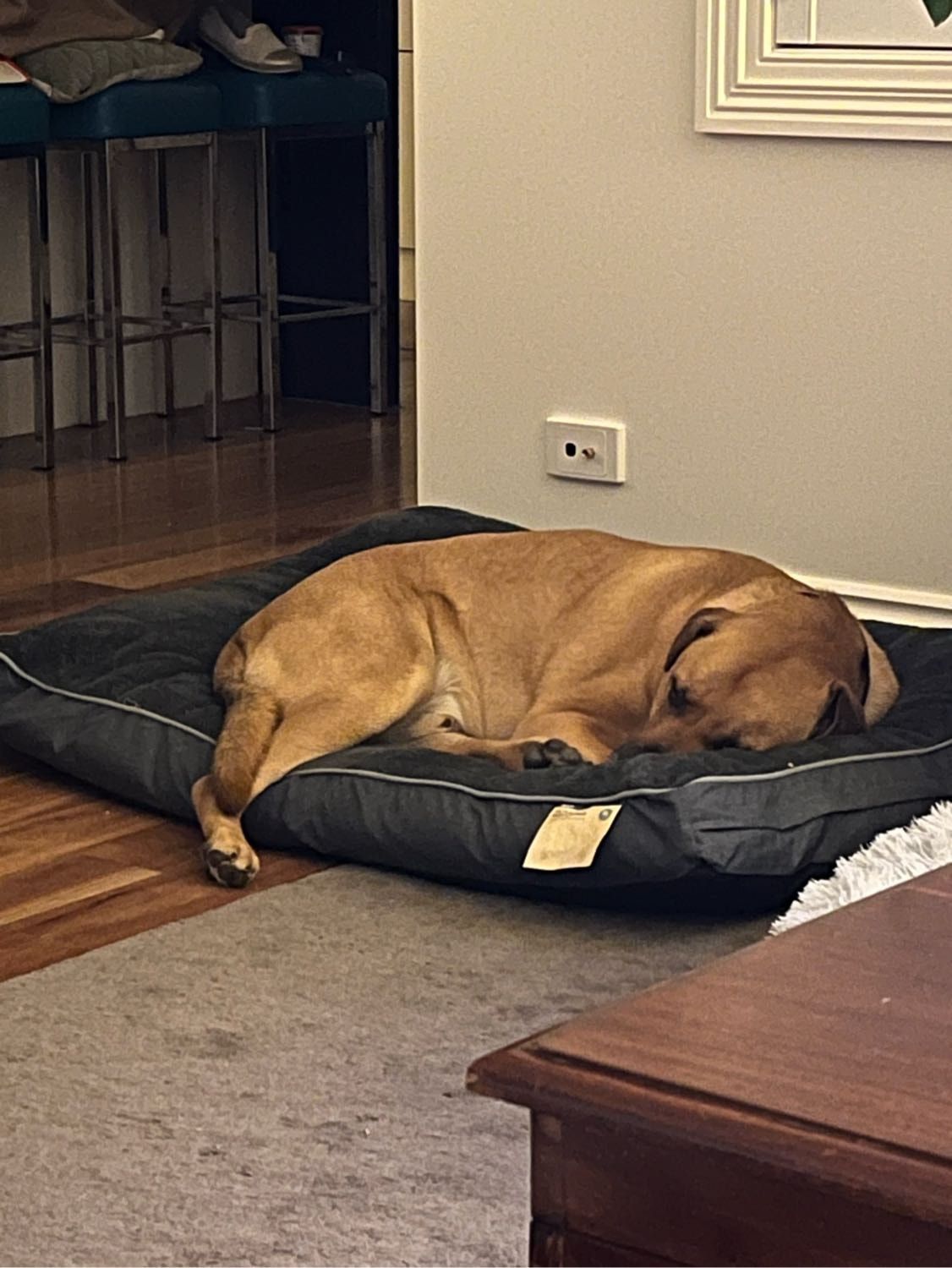 image-16