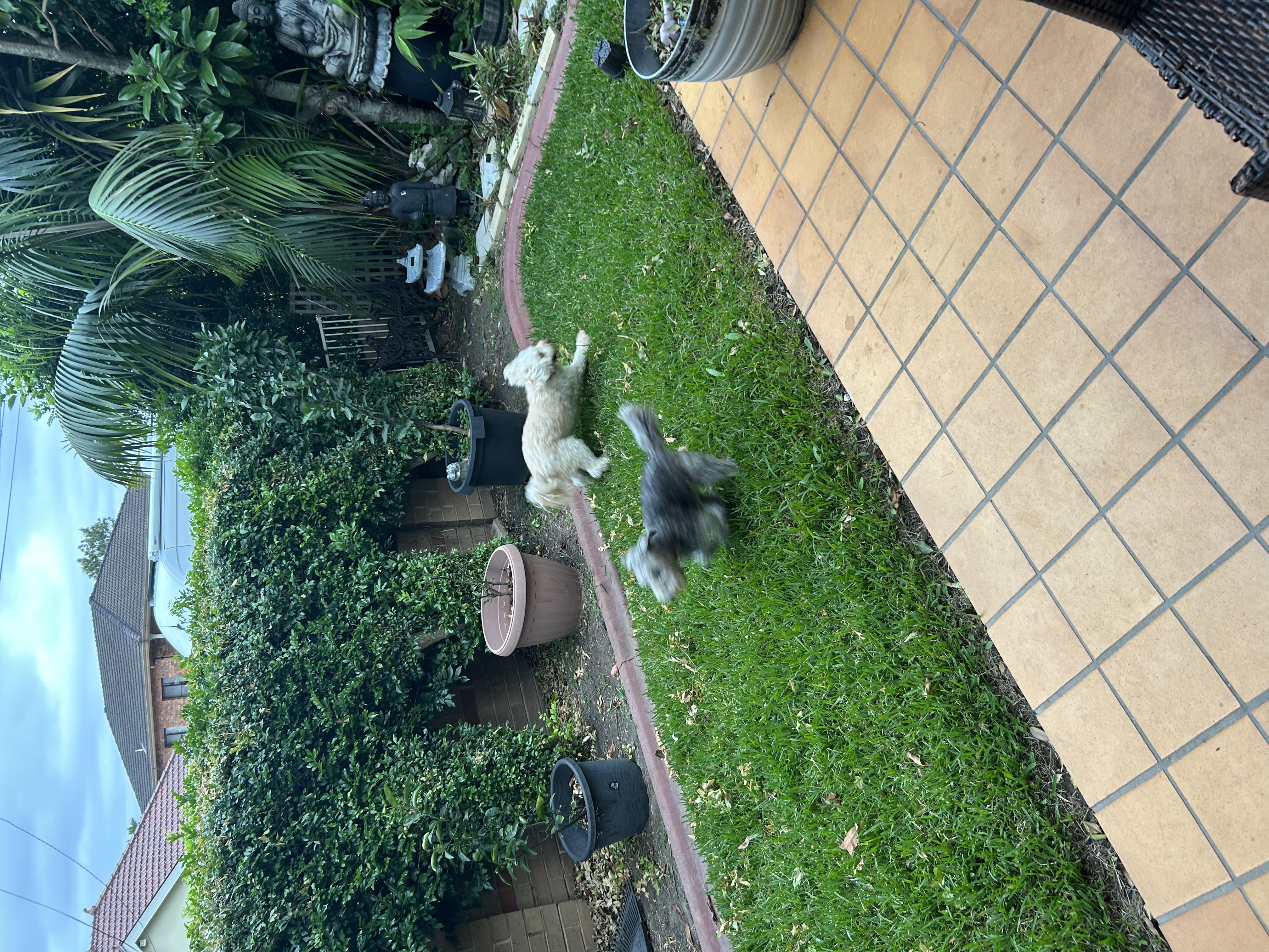 image-27