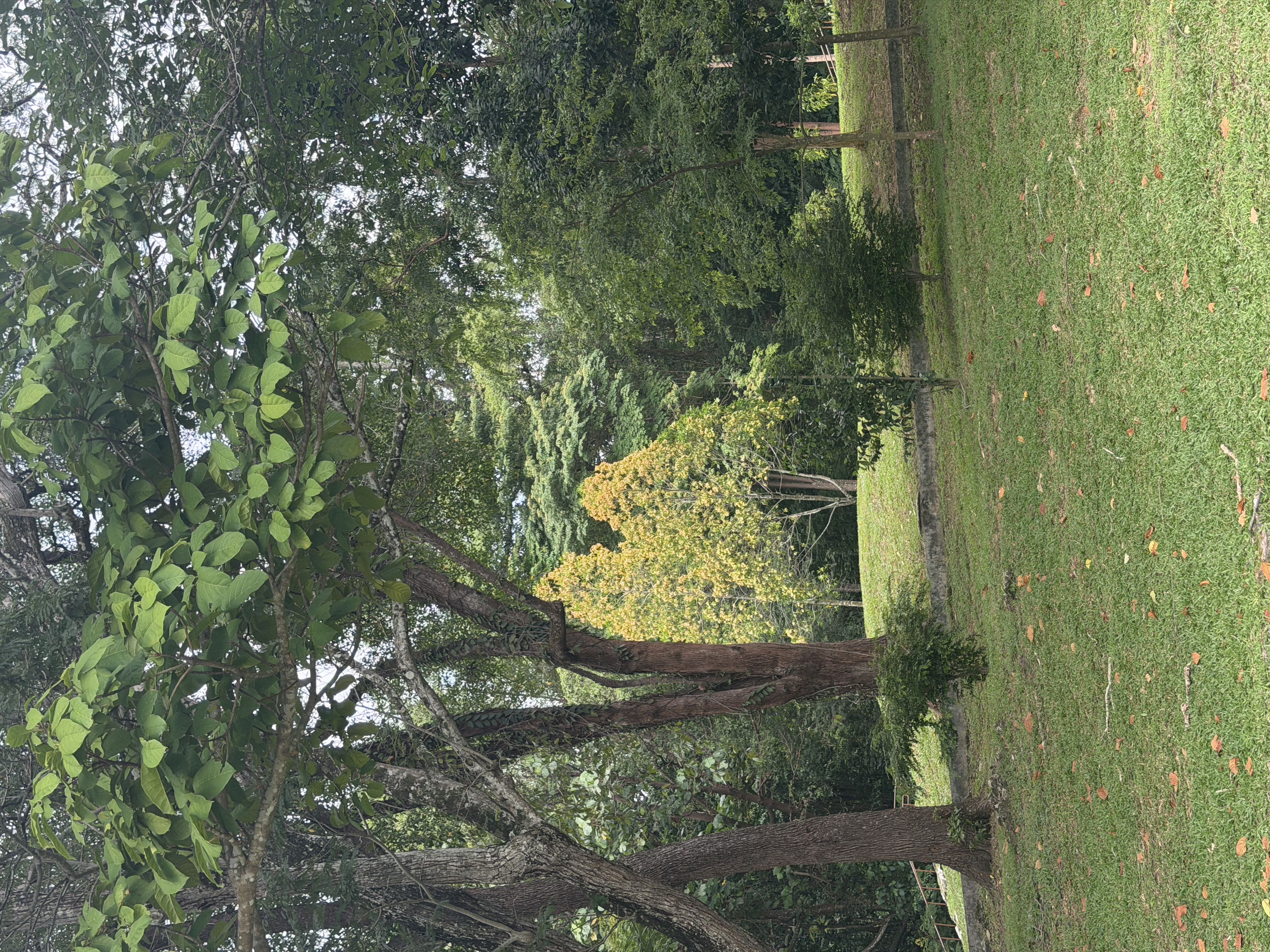 image-17