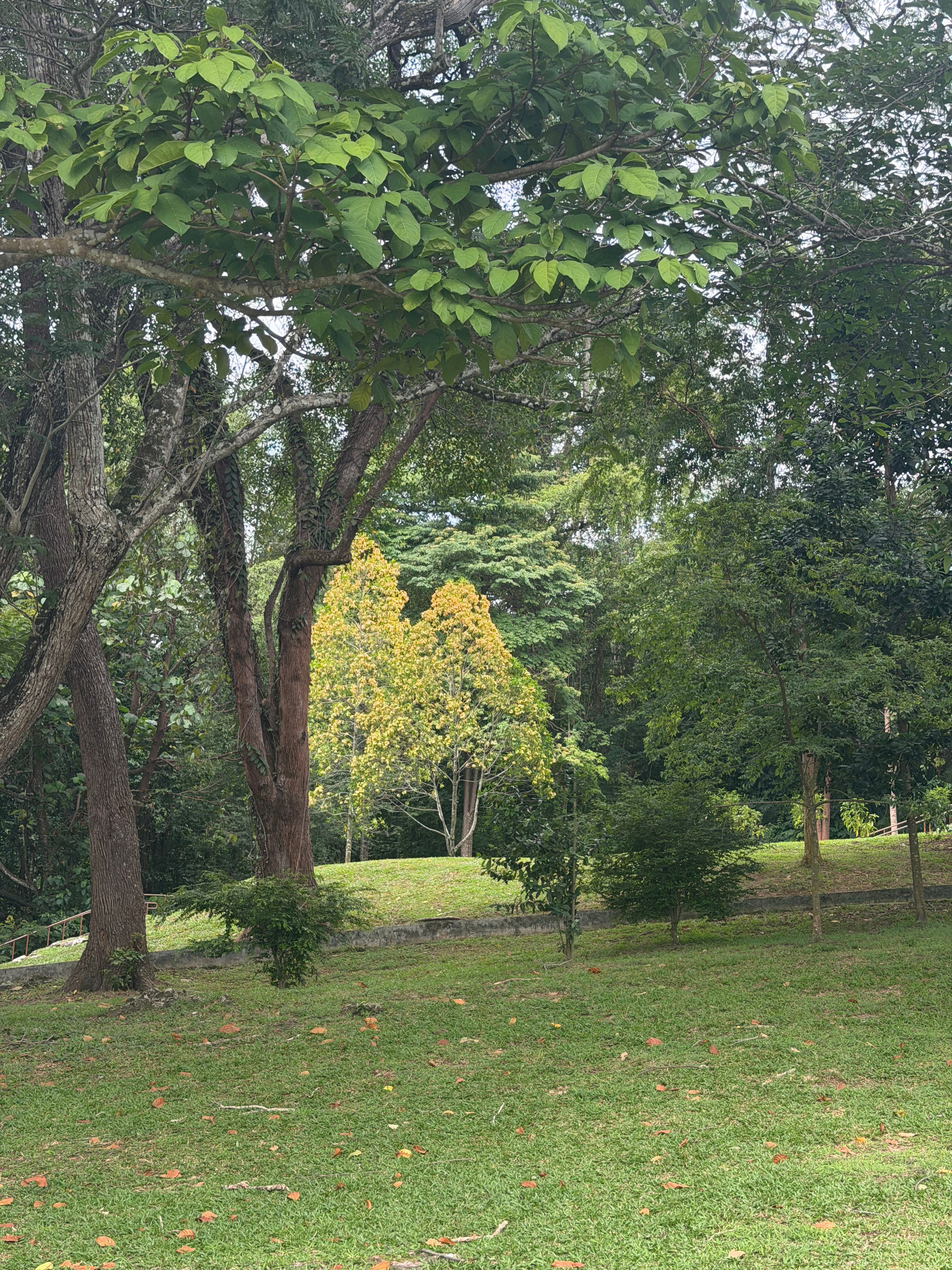 image-17