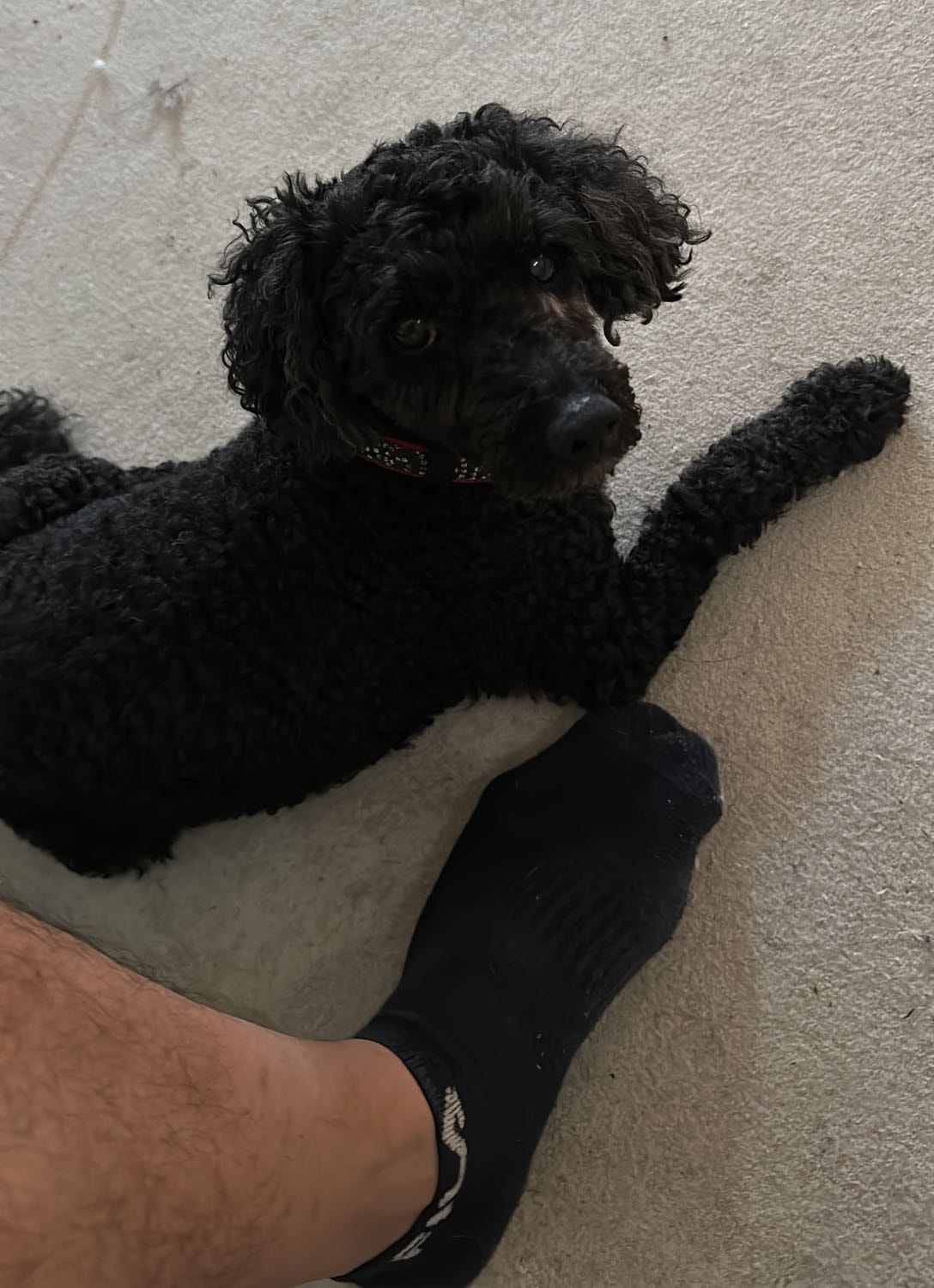 image-18