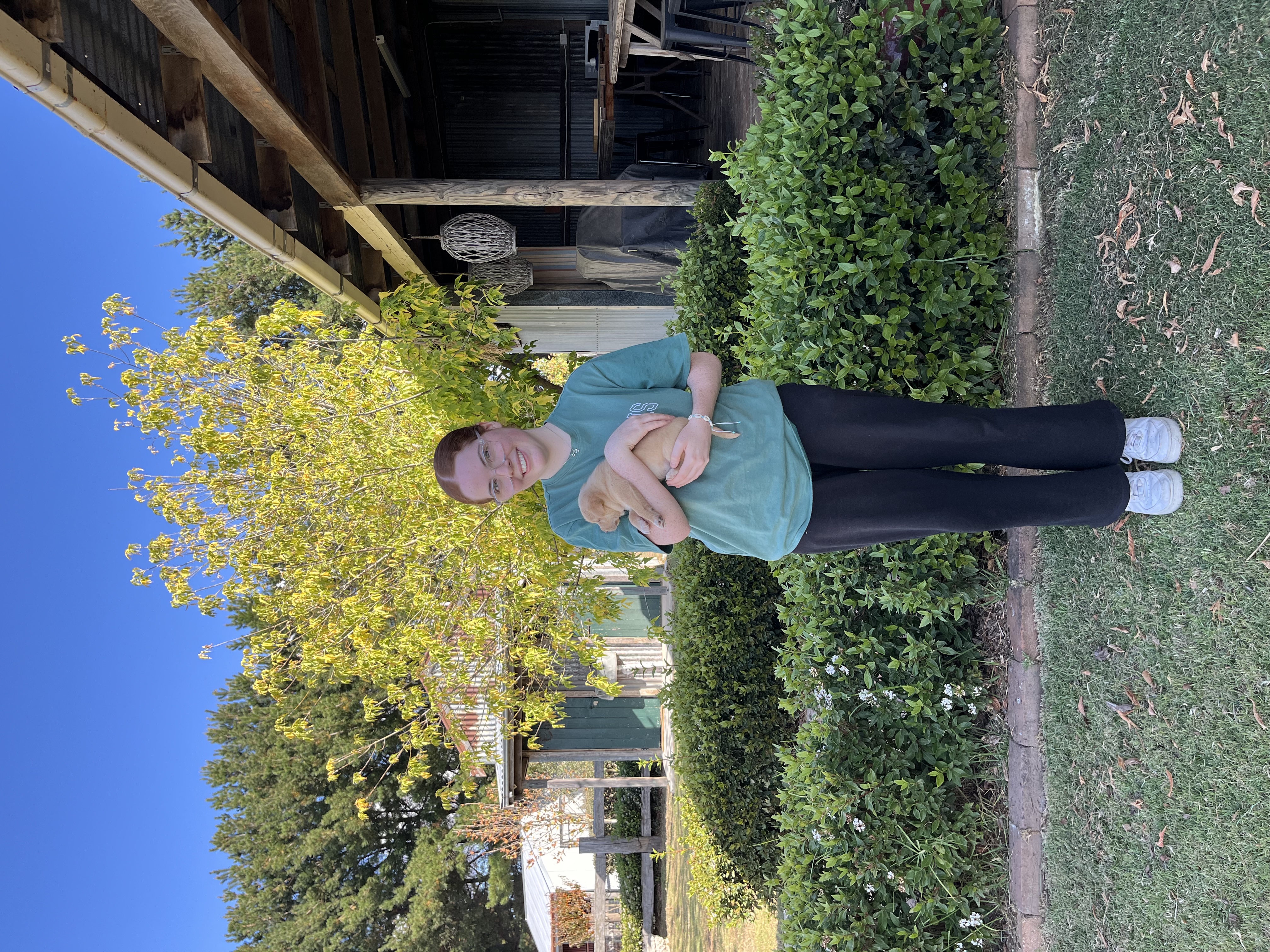 image-14
