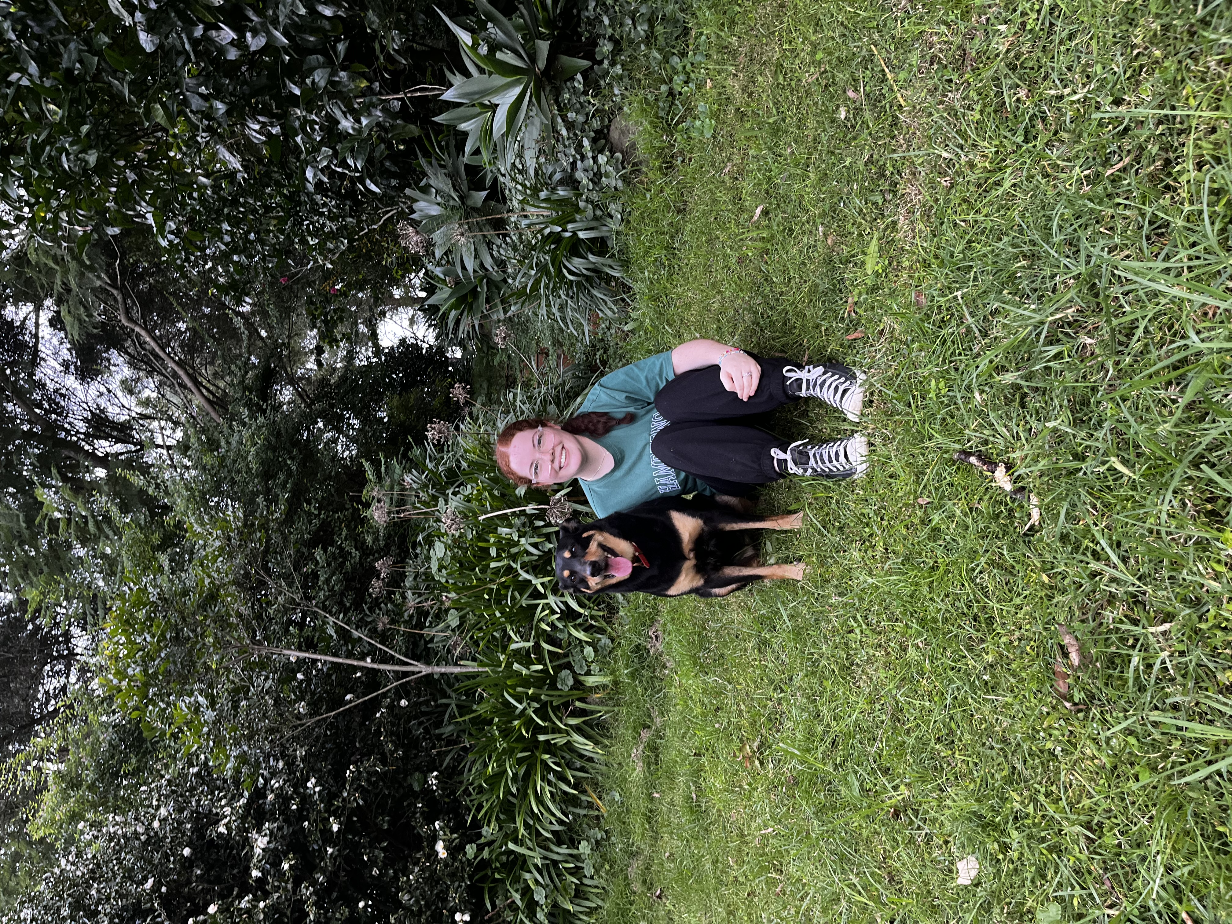 image-5