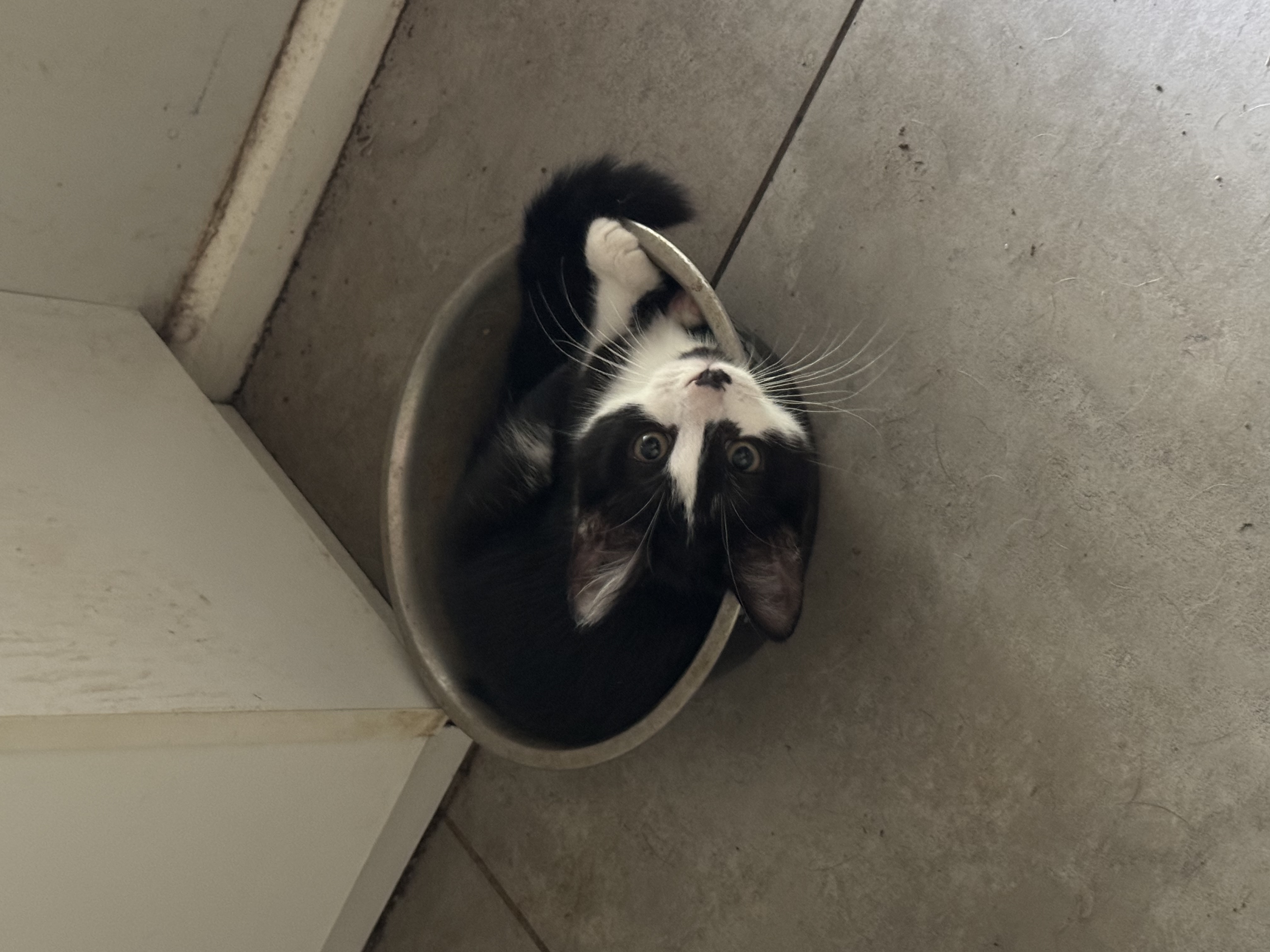 image-6