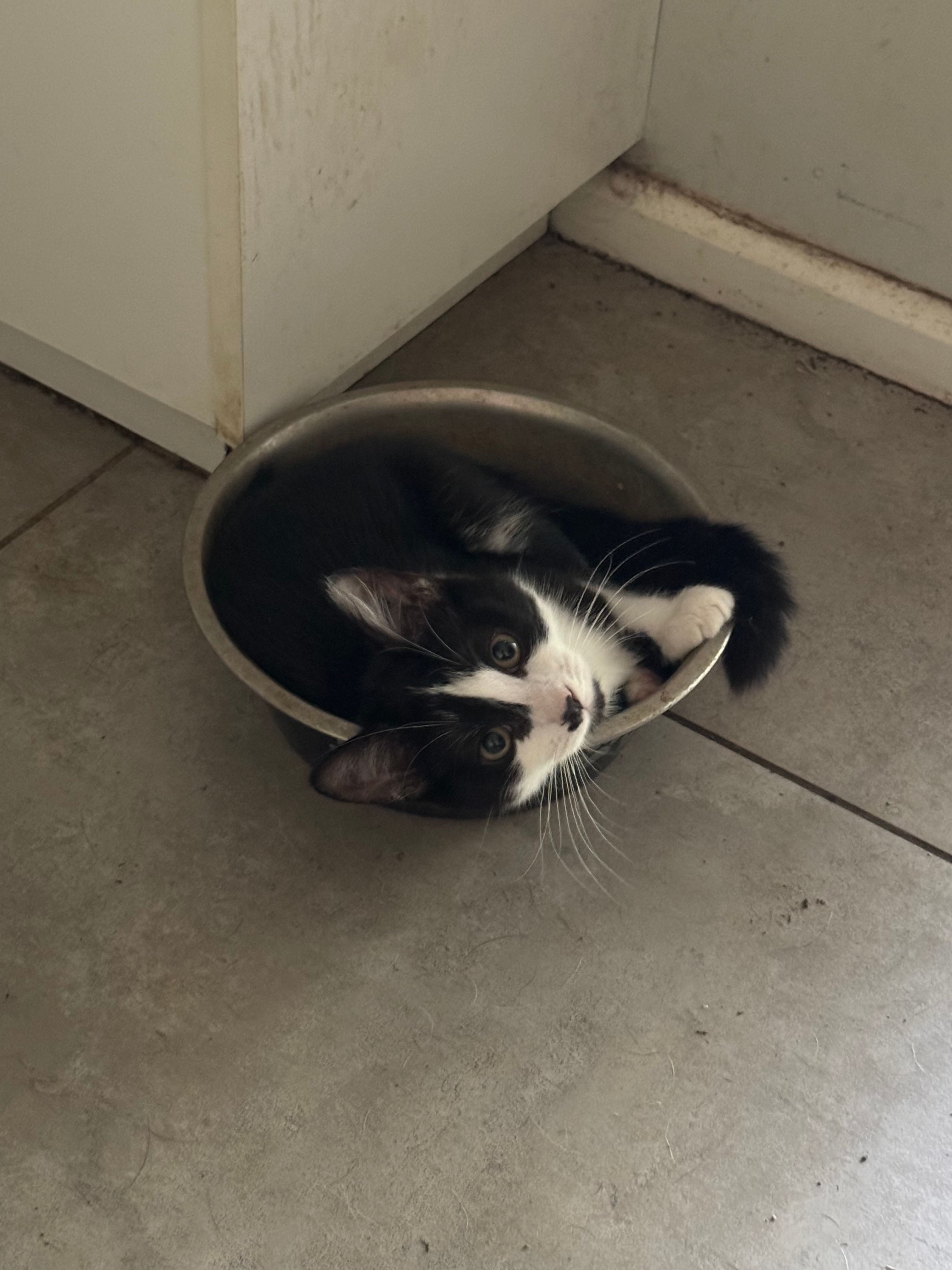 image-6