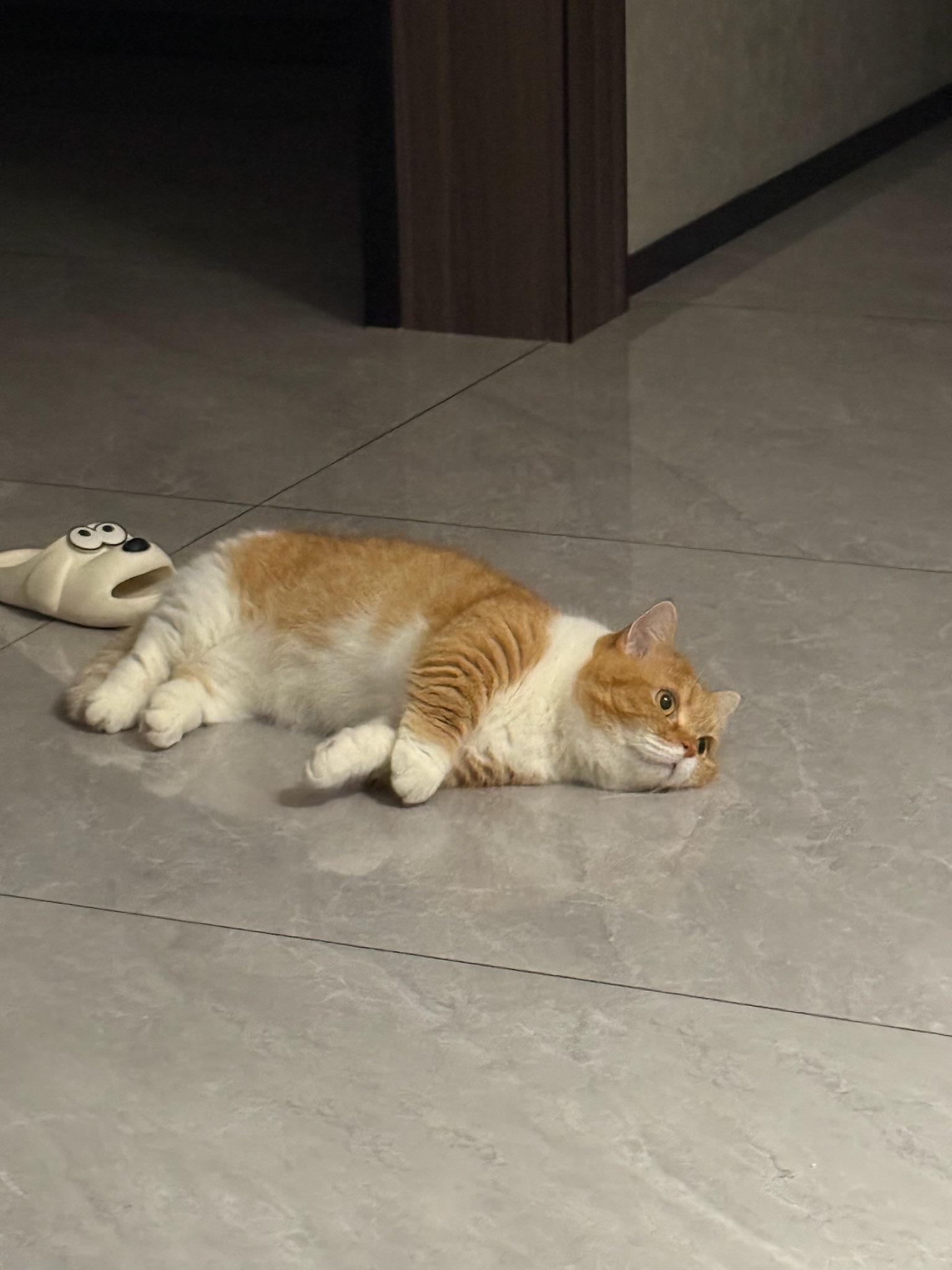 image-3