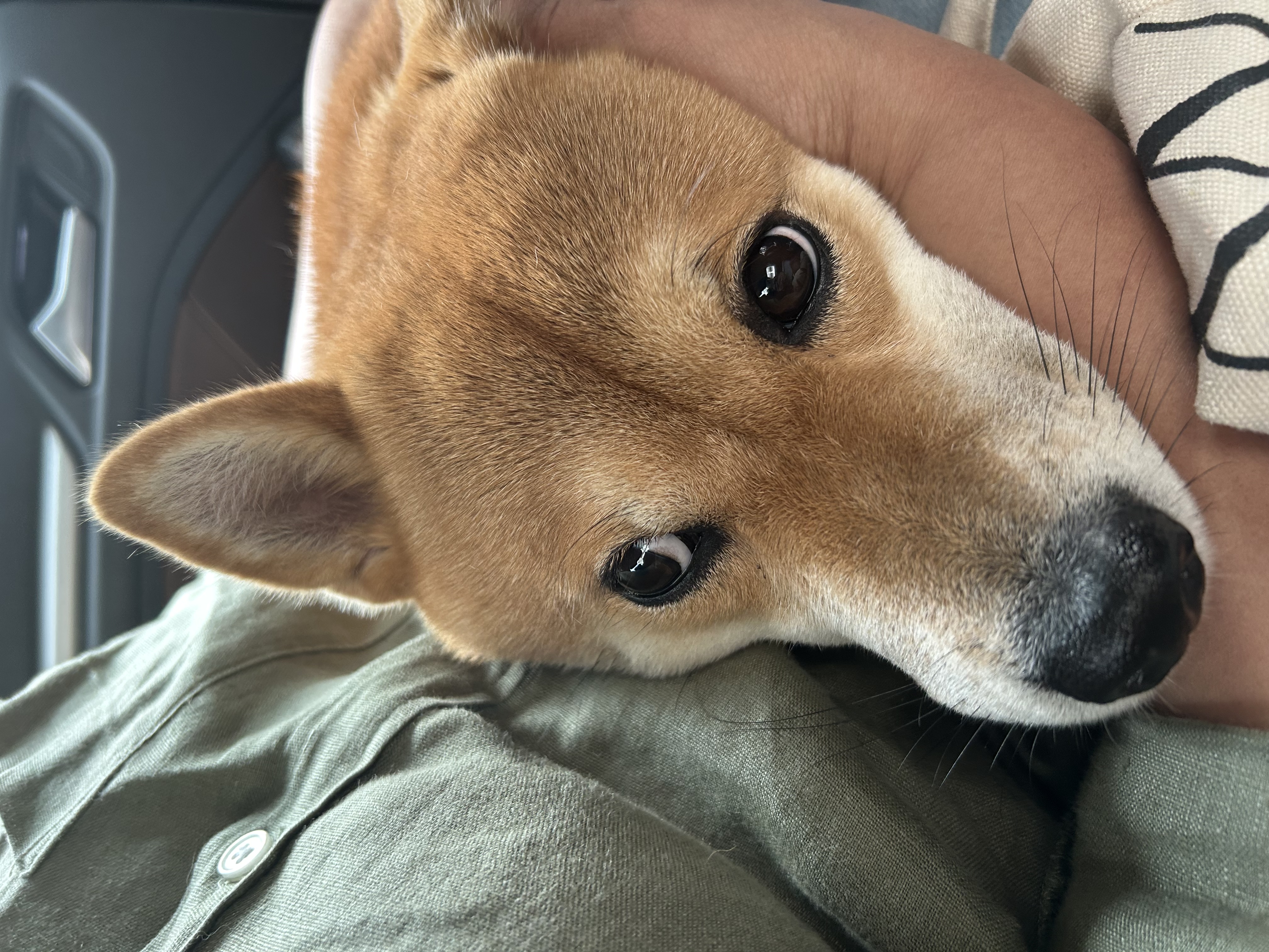 image-10