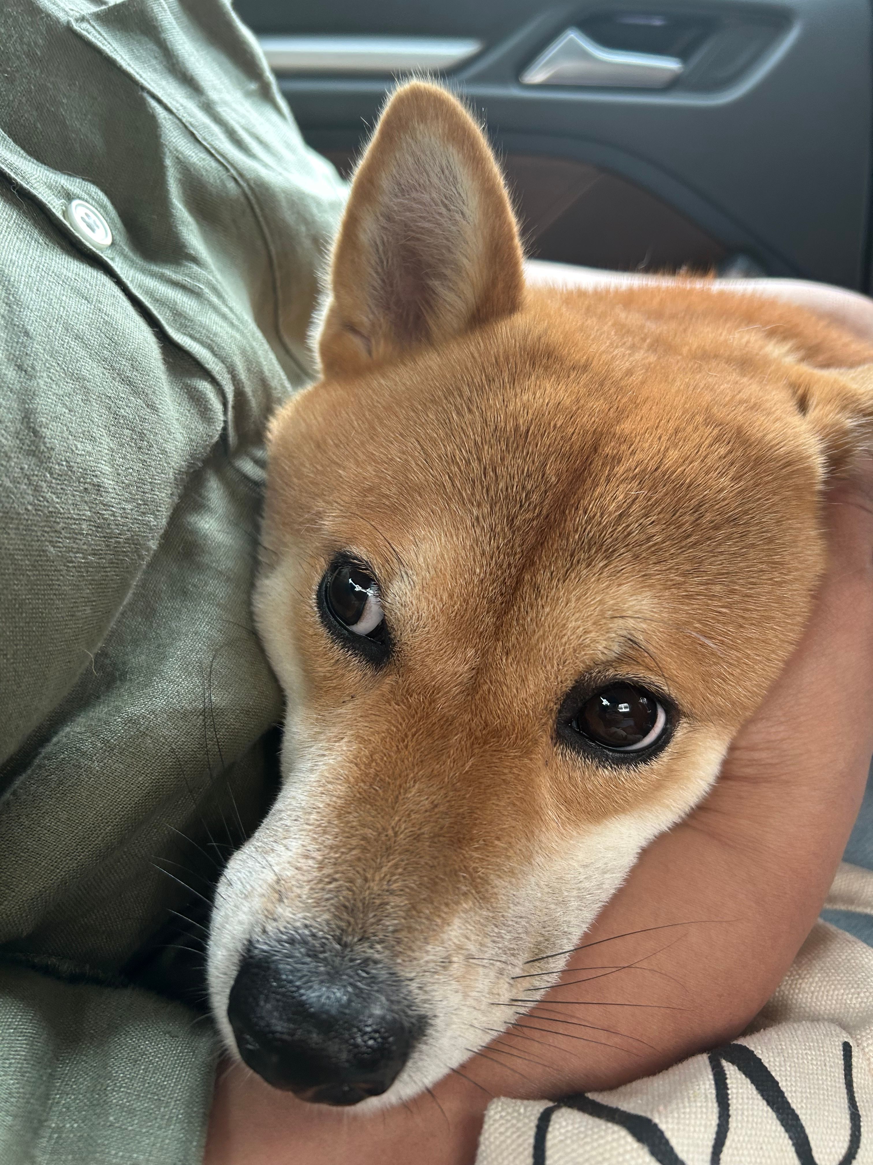 image-10