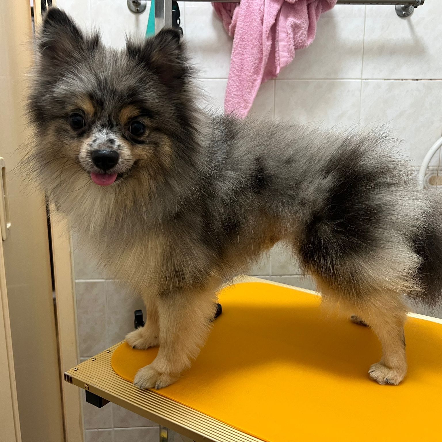 Max