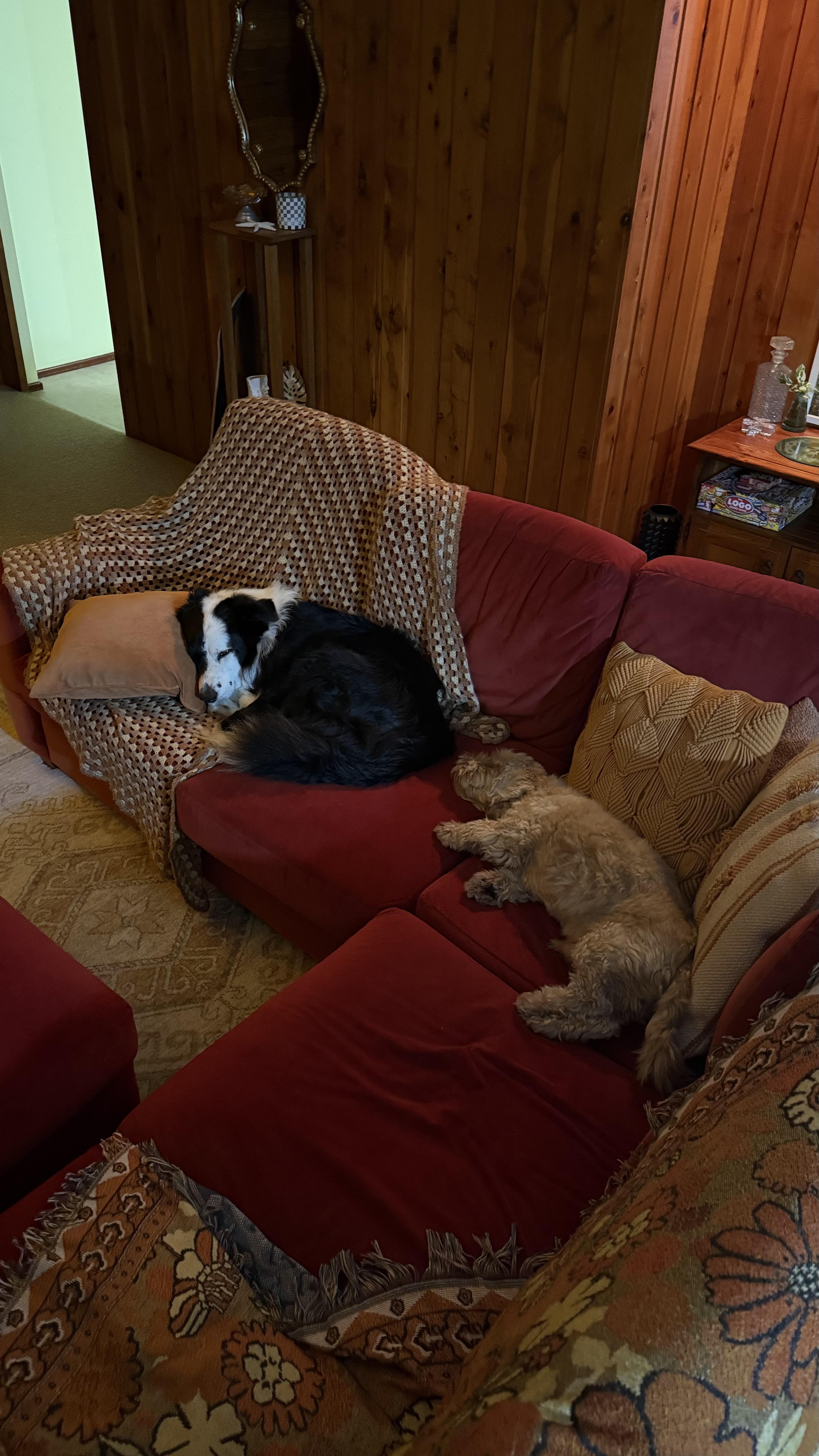 image-13