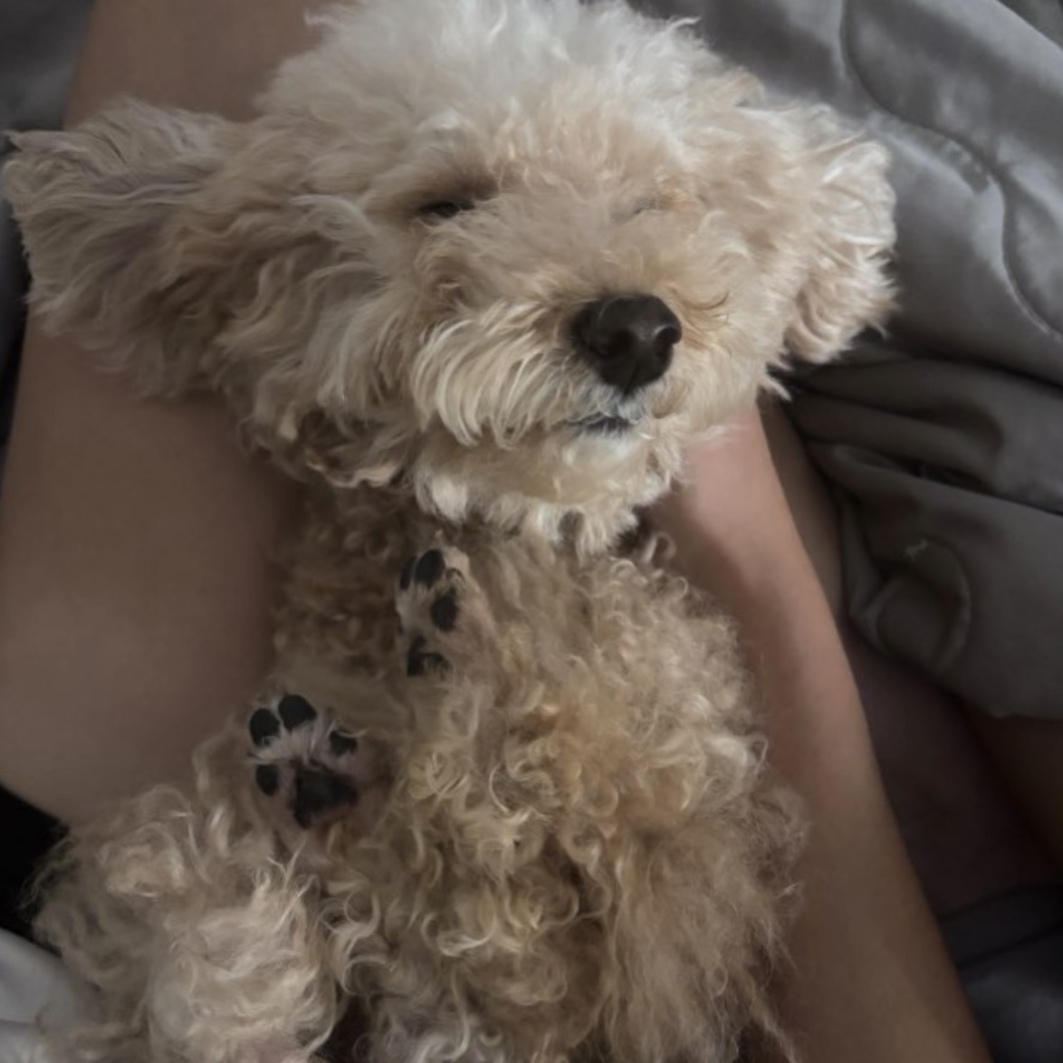milo