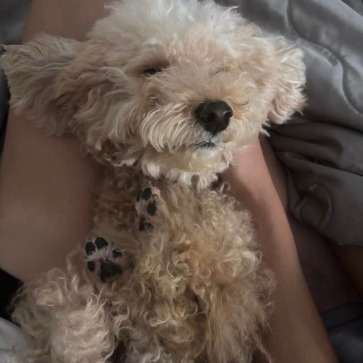 milo