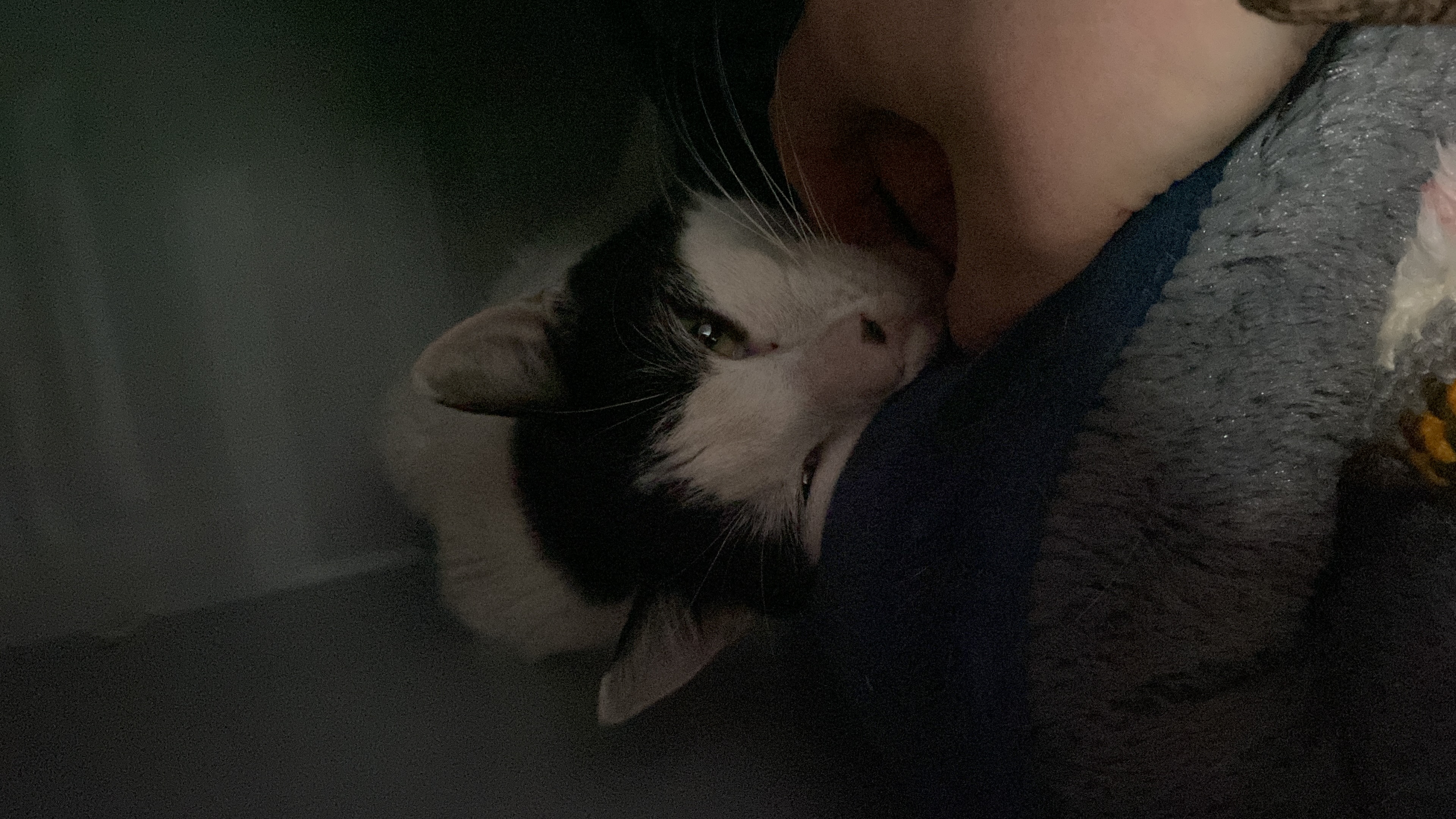 image-8