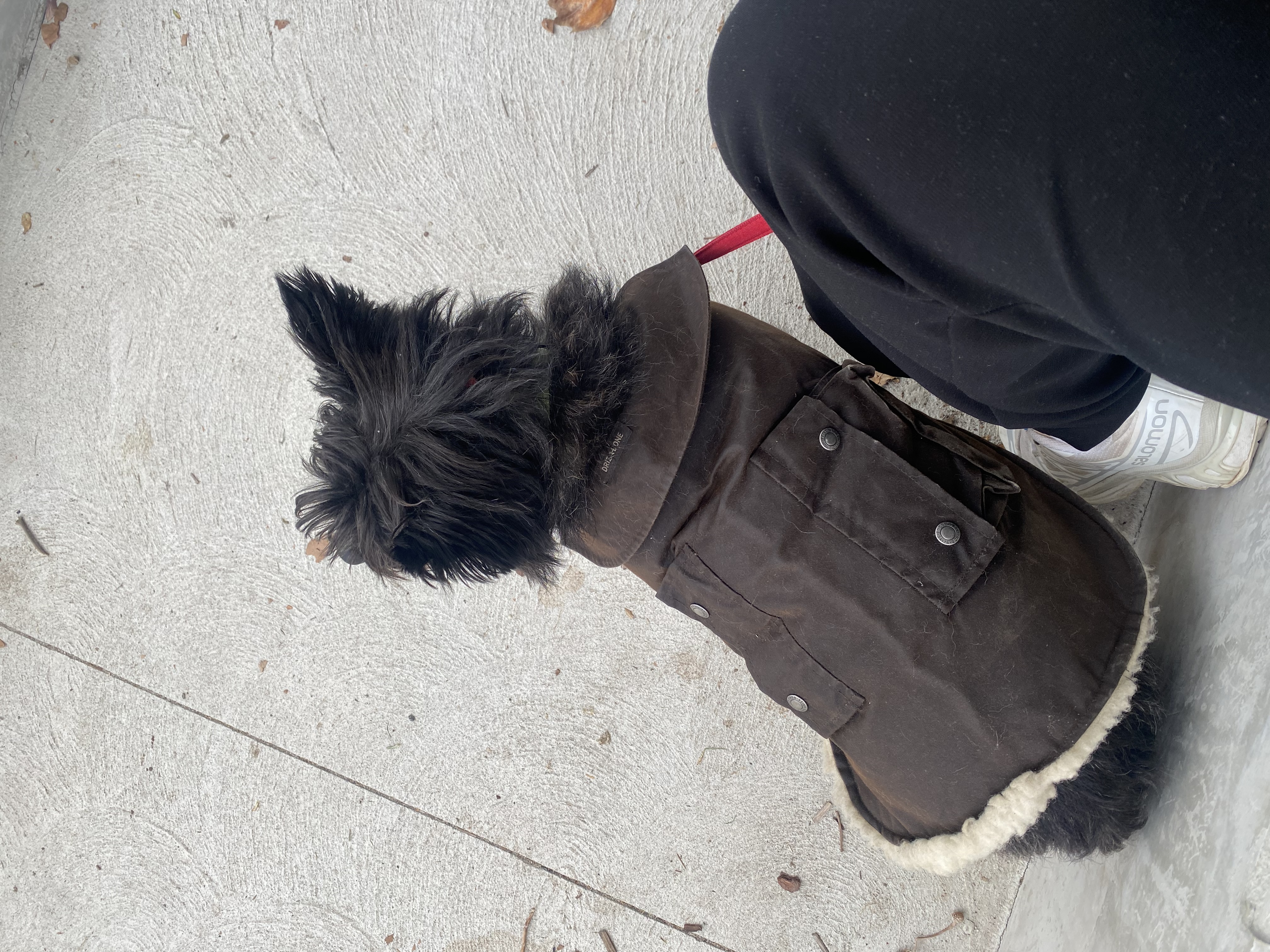 image-12
