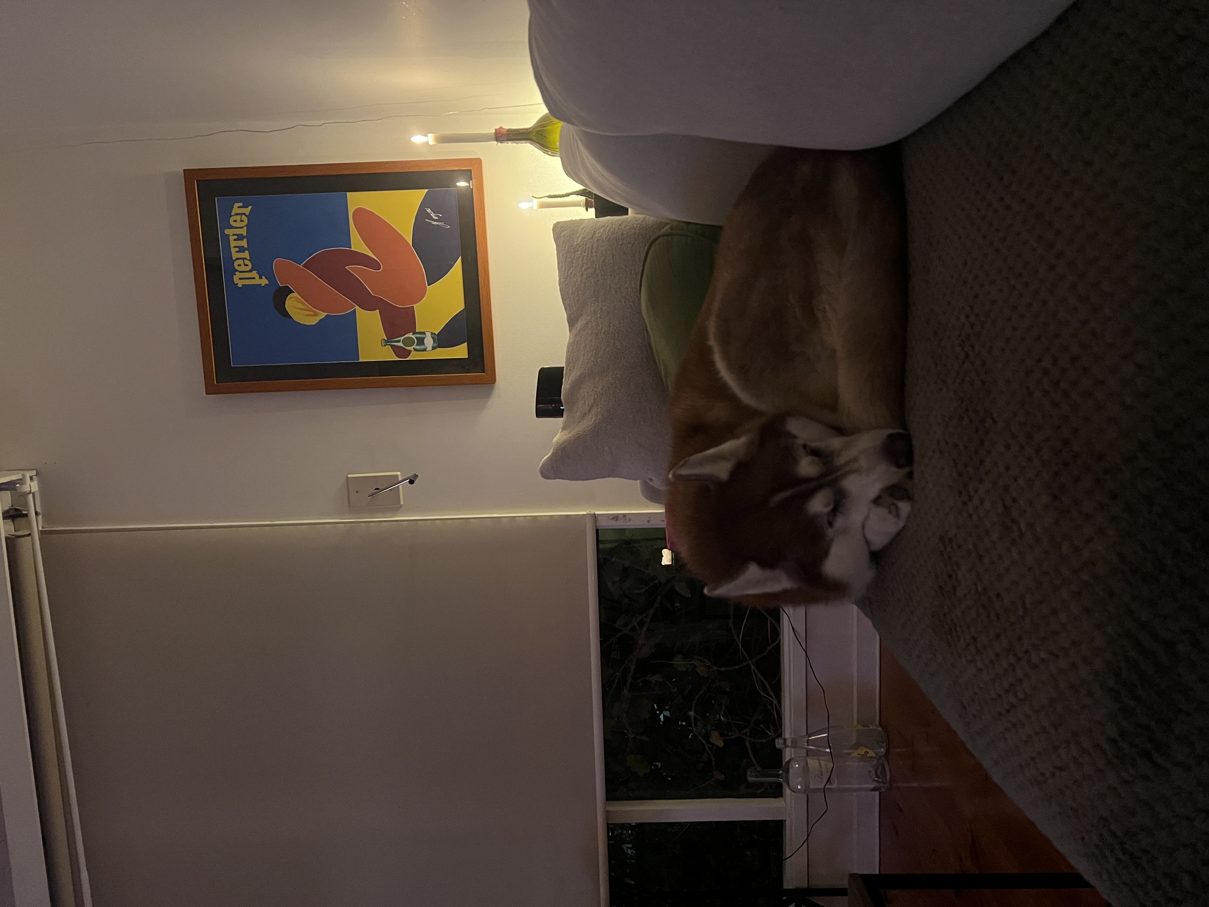image-18