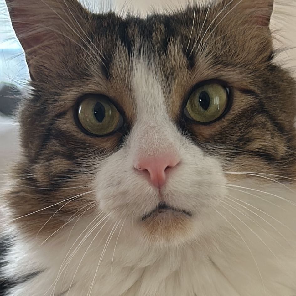 CEKU